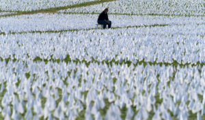 A visitor sits on a bench to look artist Suzanne Brennan Firstenberg's "In America: Remember," a temporary art installation made up of white flags to commemorate Americans who have died of COVID-19, on the National Mall, in Washington, Saturday, Oct. 2, 2021. (AP Photo/Jose Luis Magana)