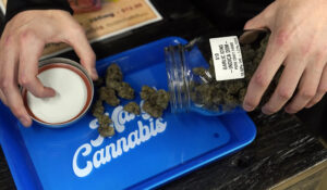 Store manager Josh Poole pours marijuana flowers onto a try at a Mango Cannabis medical marijuana dispensary, Monday, March 6, 2023, in Oklahoma City. (AP Photo/Sue Ogrocki)