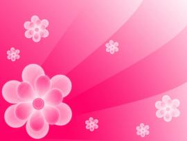 Simple Abstract Pink Flower Backgrounds