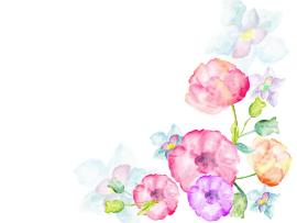 Watercolor Flowers Greetings Photo Backgrounds