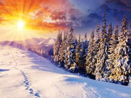 Winters  Bests Download Backgrounds