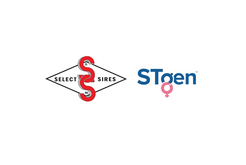 Select Sires Inc. and STgen™ Sign a Letter of Intent