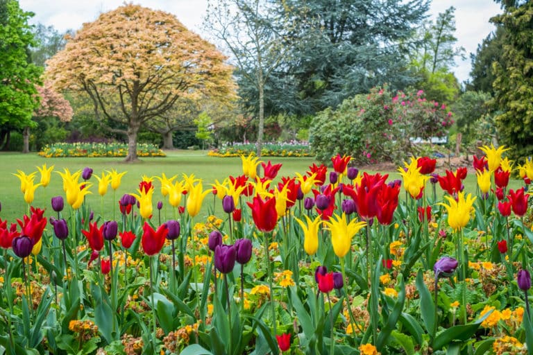 Cannon Hill Park in Birmingham City Centre