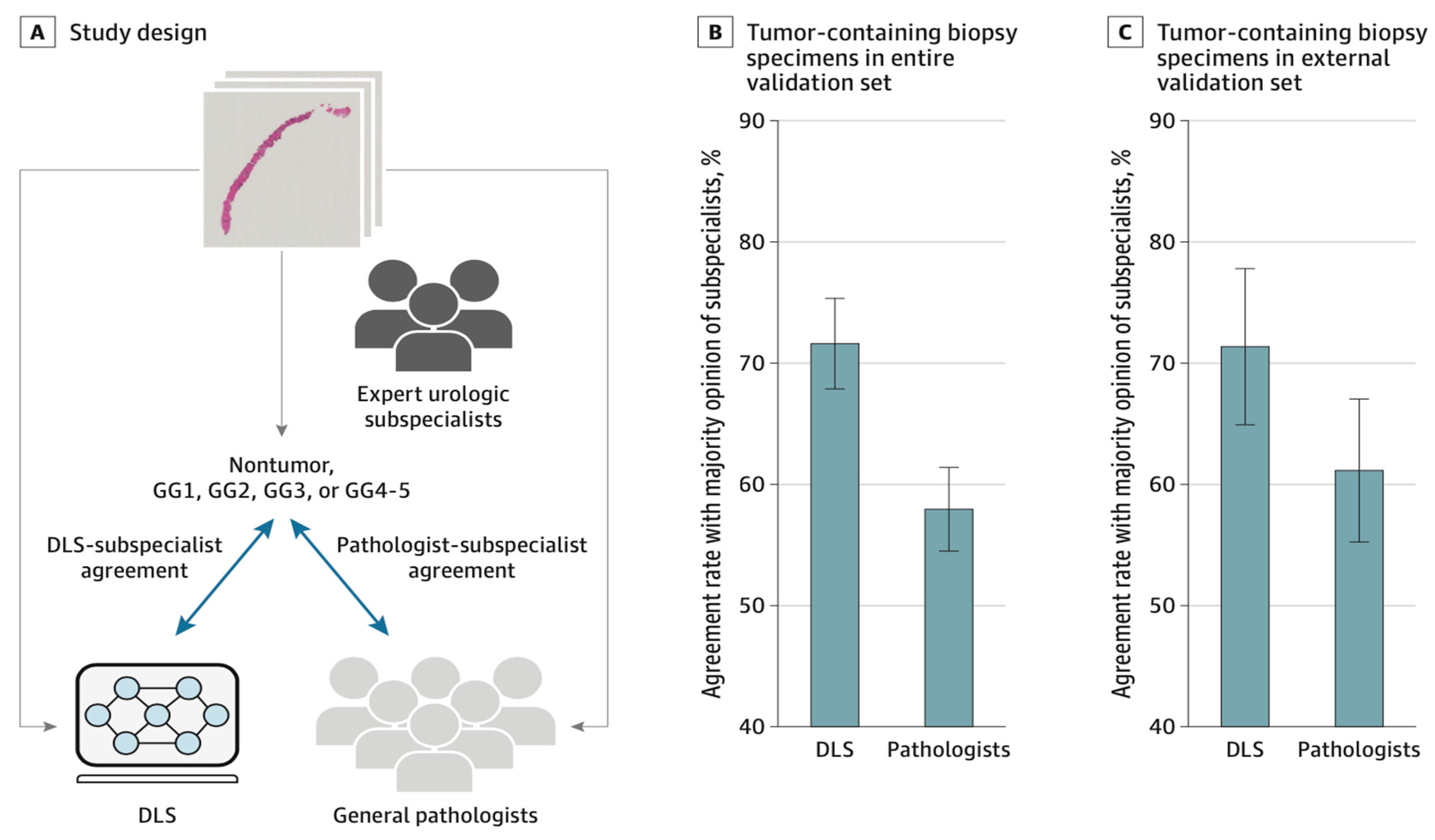 Preprints 98989 g019