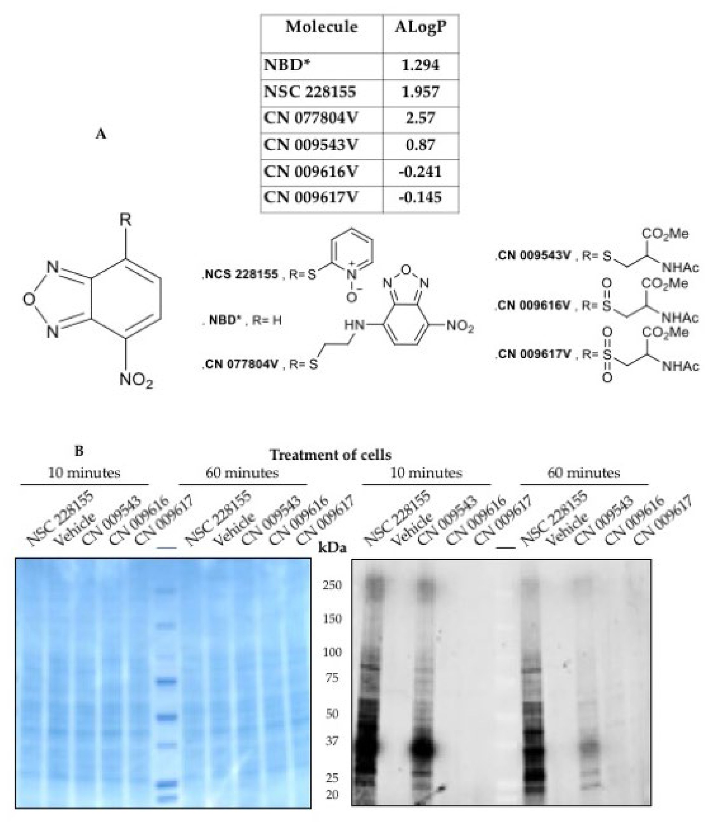 Preprints 102322 g004