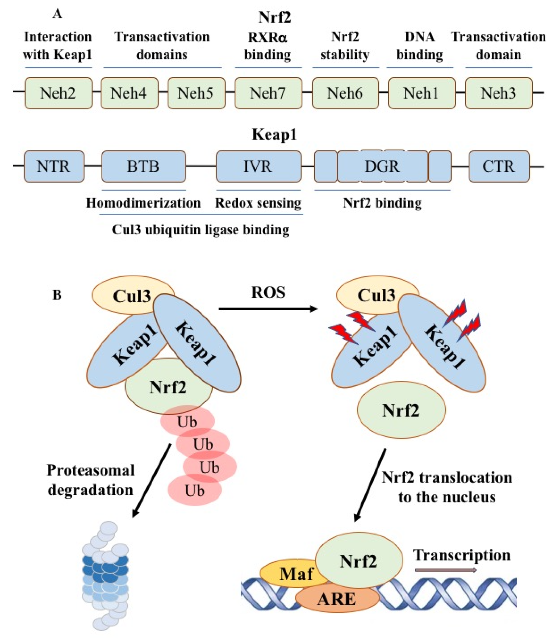 Preprints 102322 g005