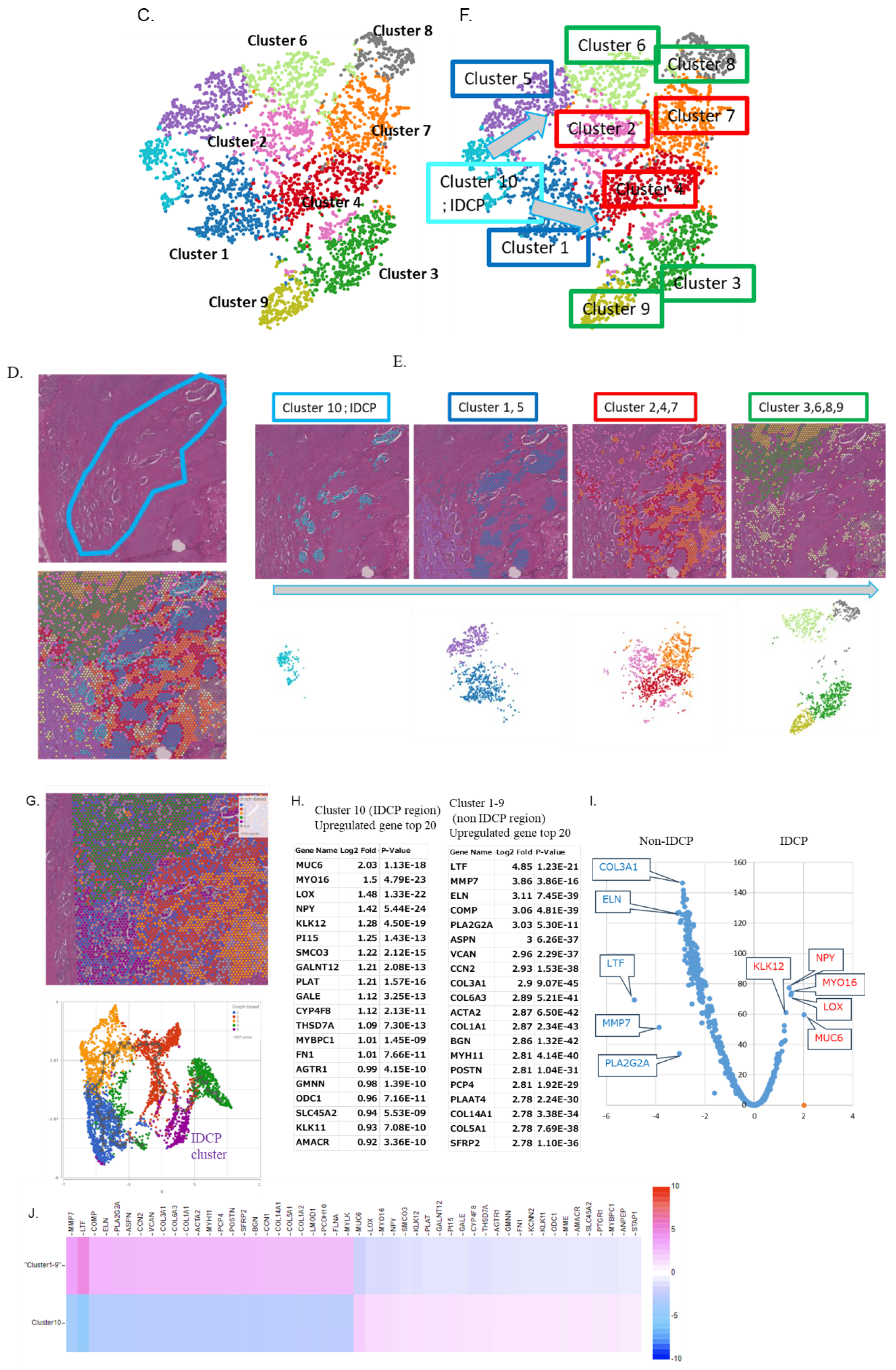 Preprints 101507 g001b