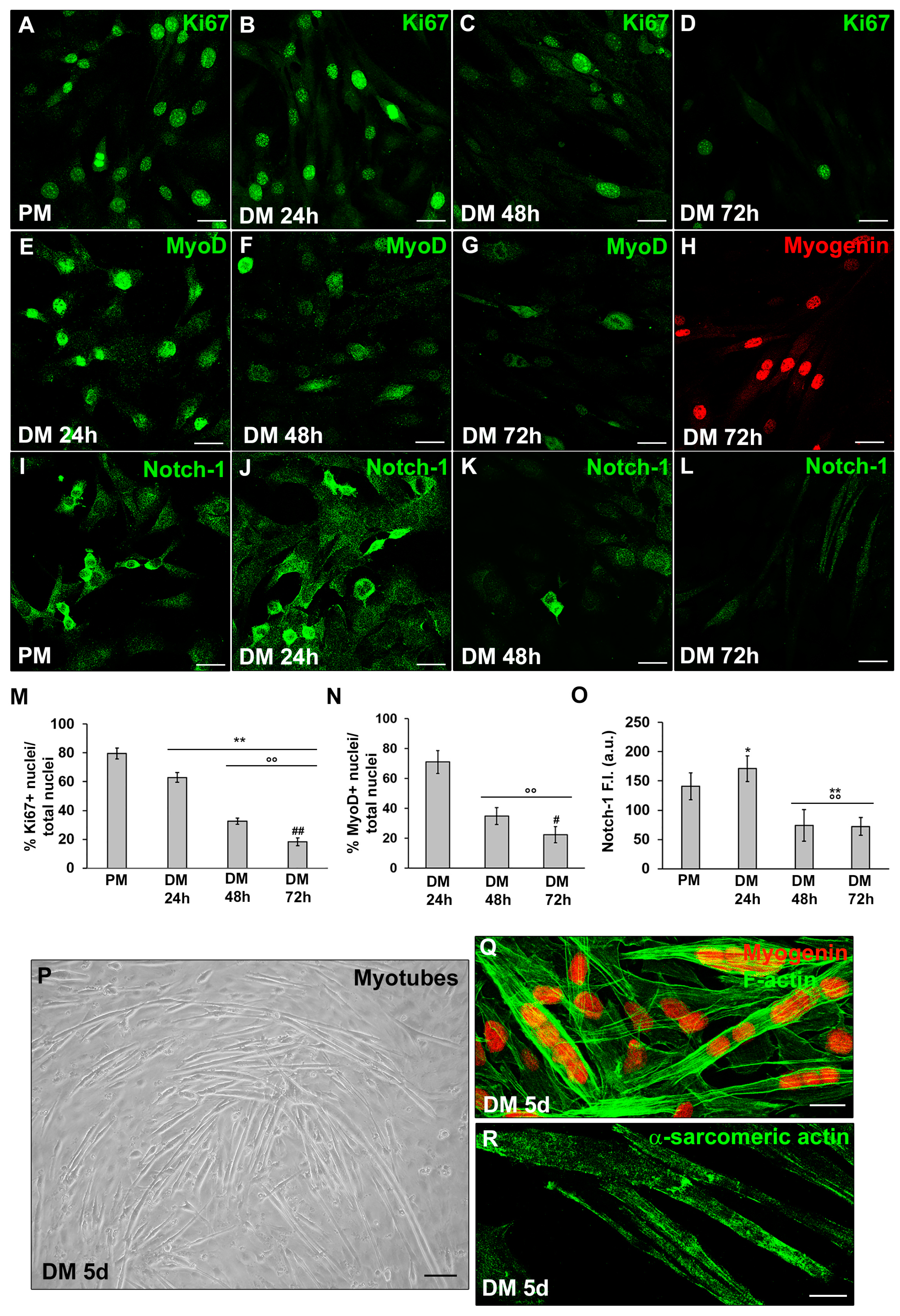 Preprints 89937 g001