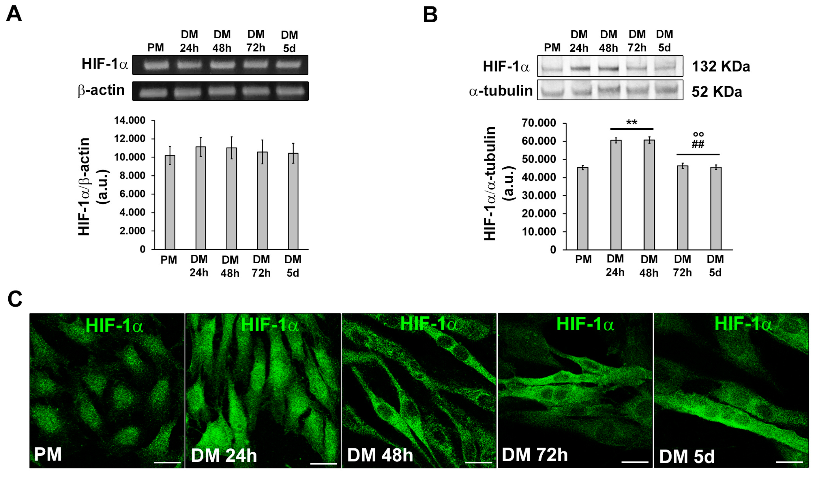 Preprints 89937 g003