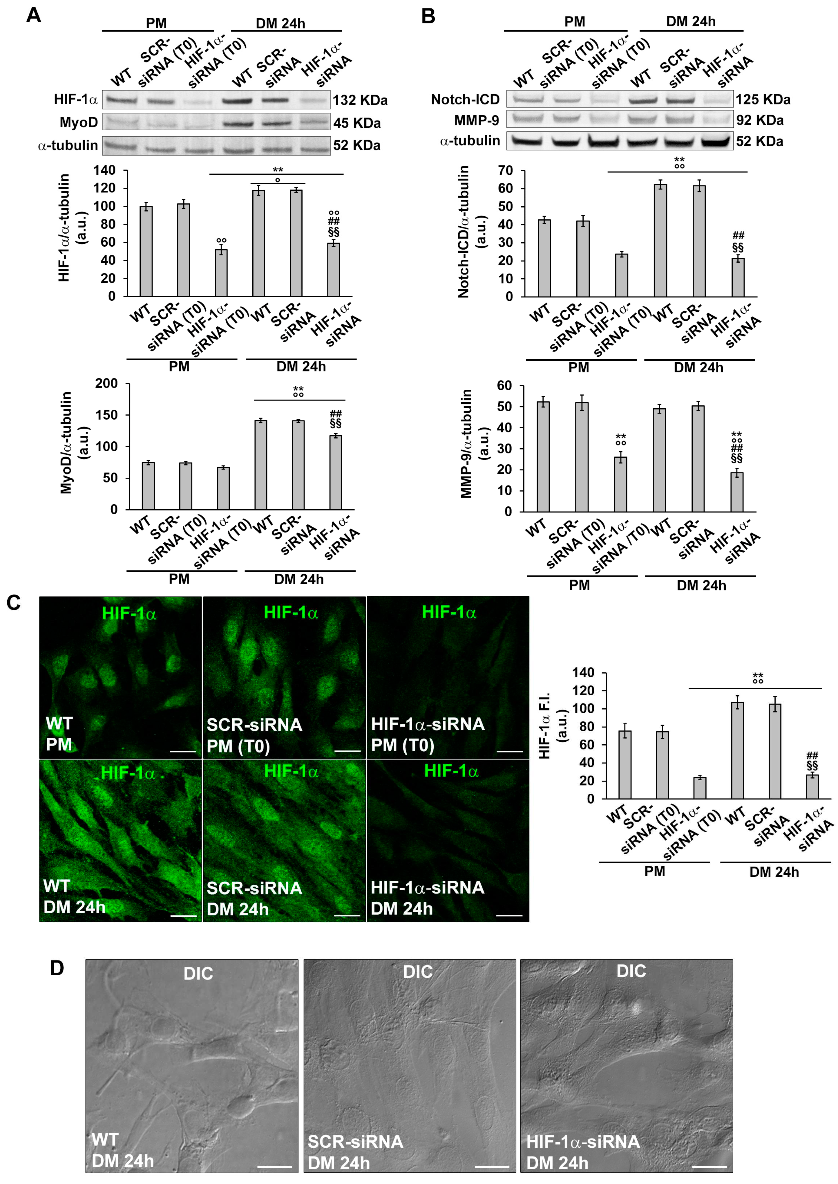 Preprints 89937 g006