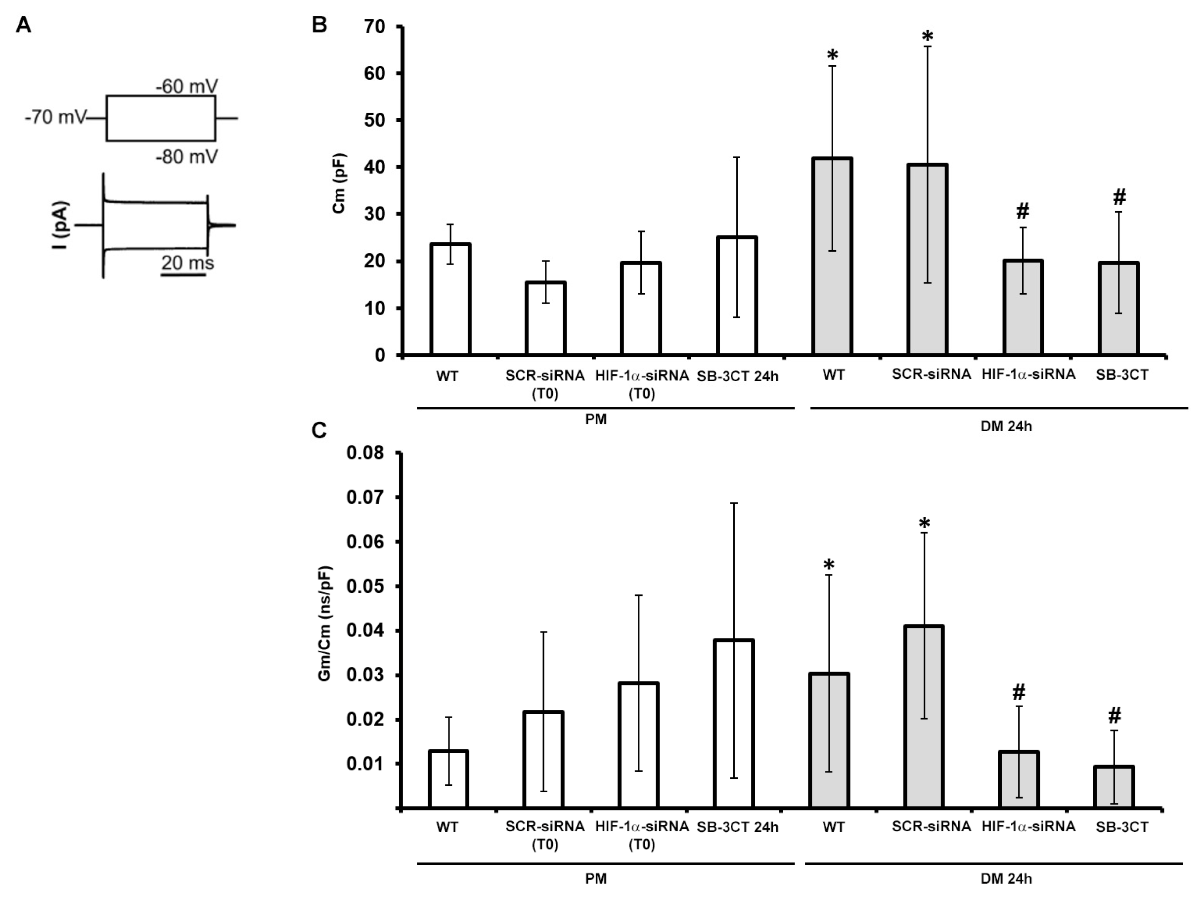 Preprints 89937 g009