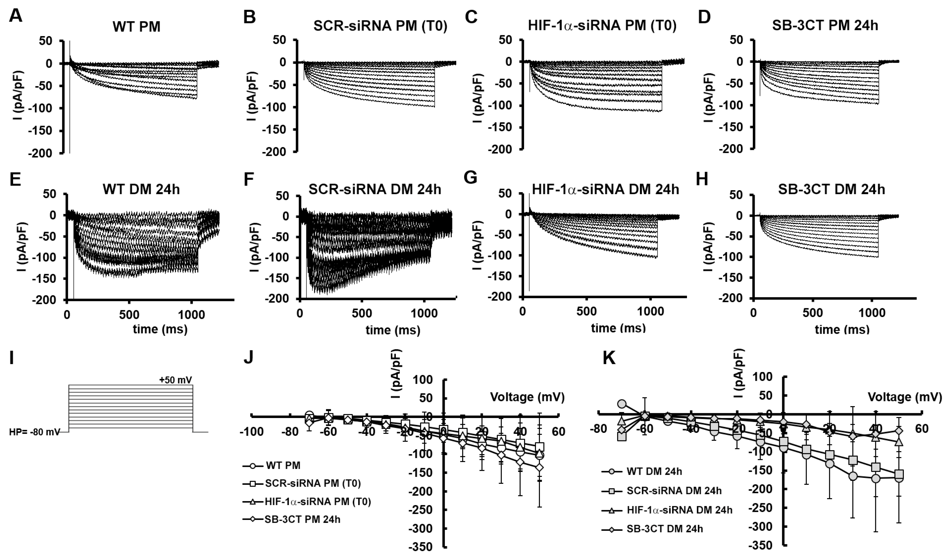 Preprints 89937 g010