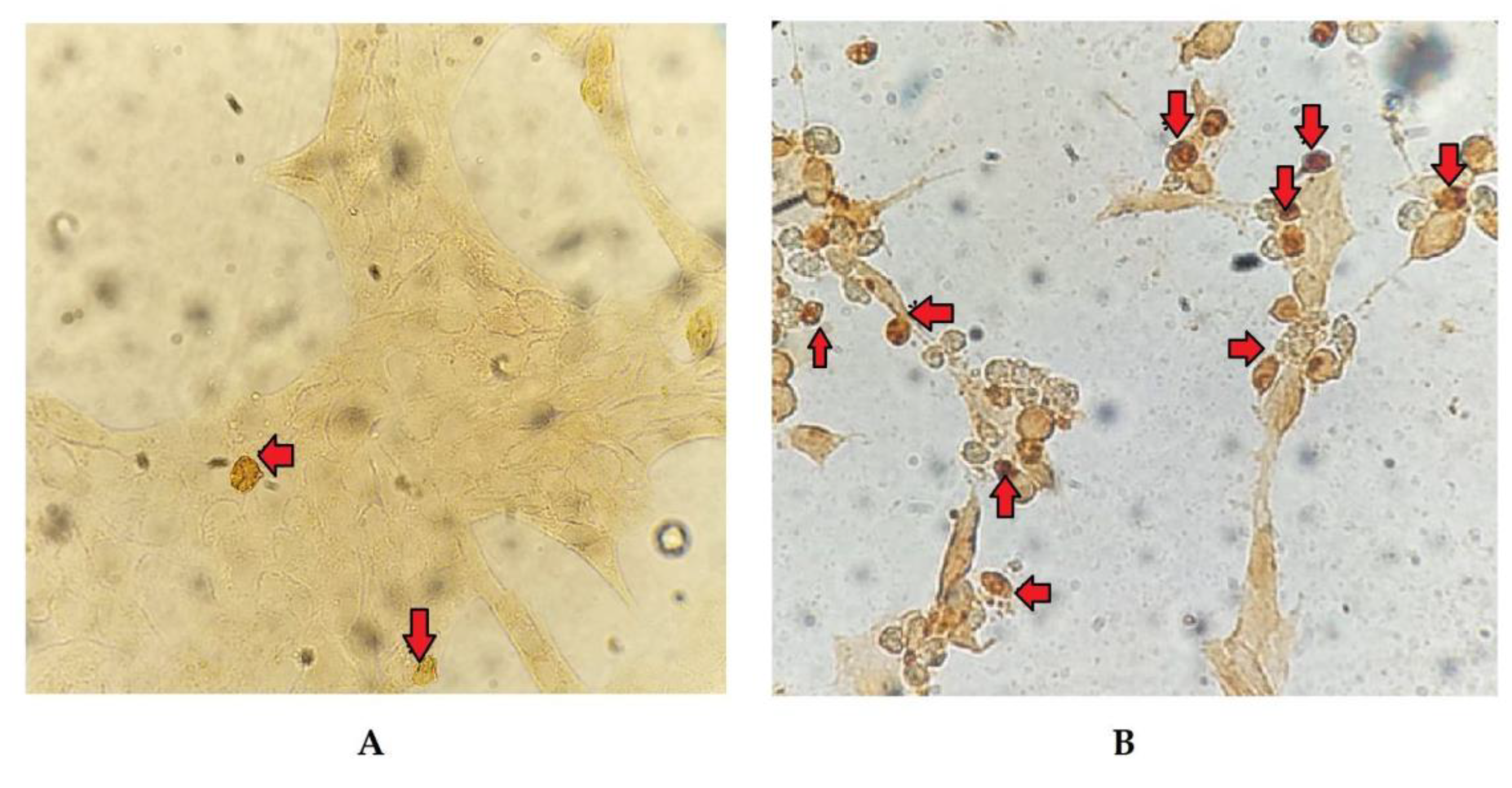 Preprints 87039 g004