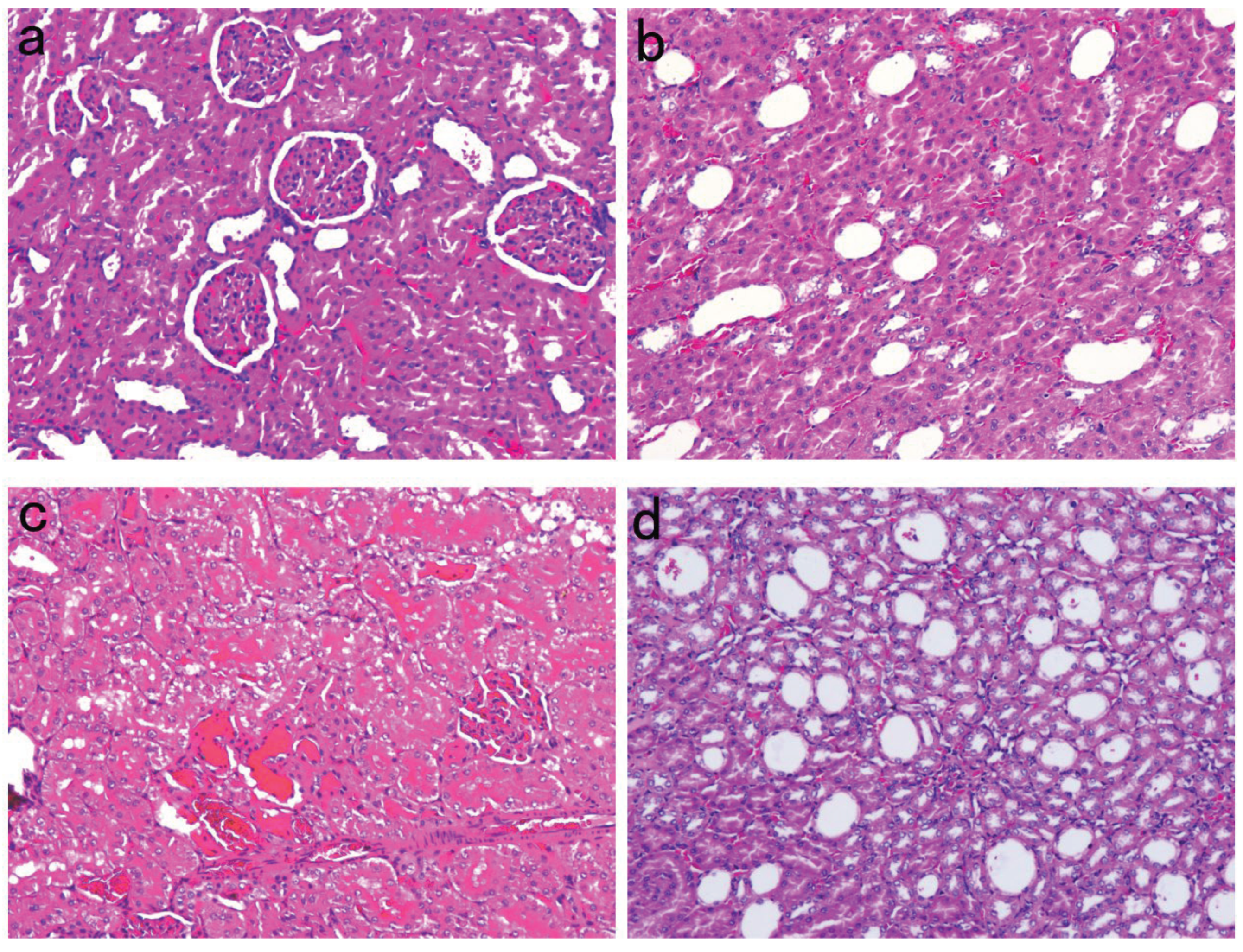 Preprints 99686 g001