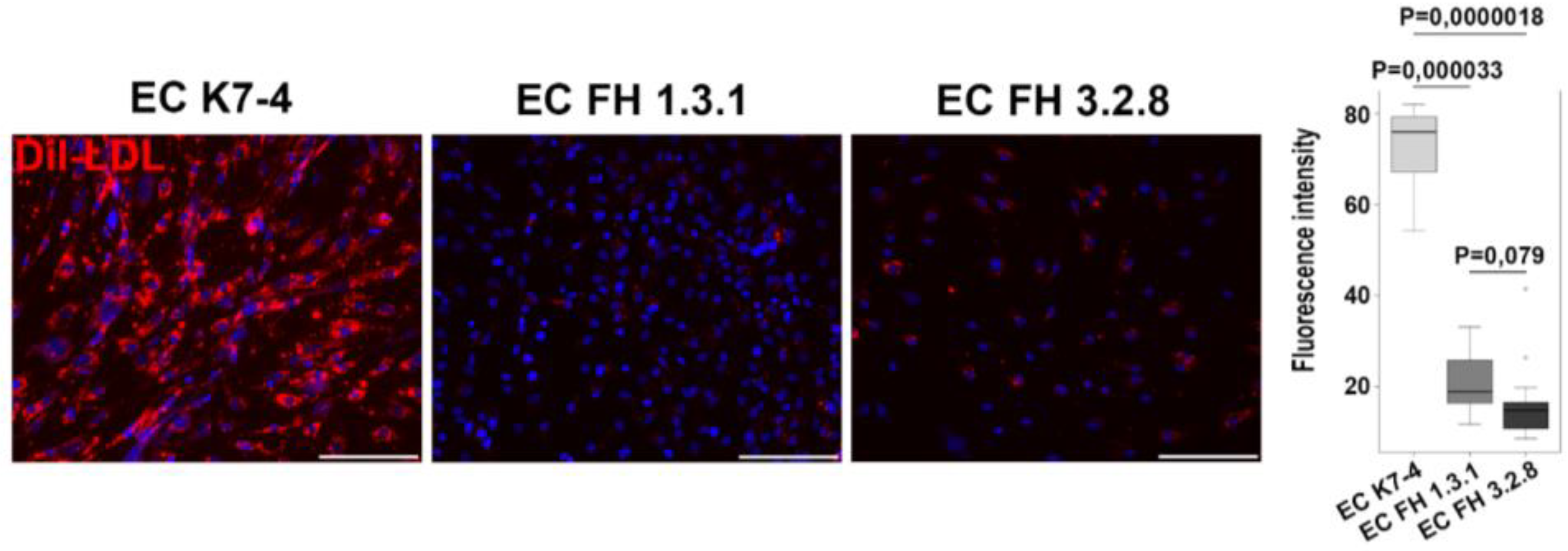 Preprints 89966 g002