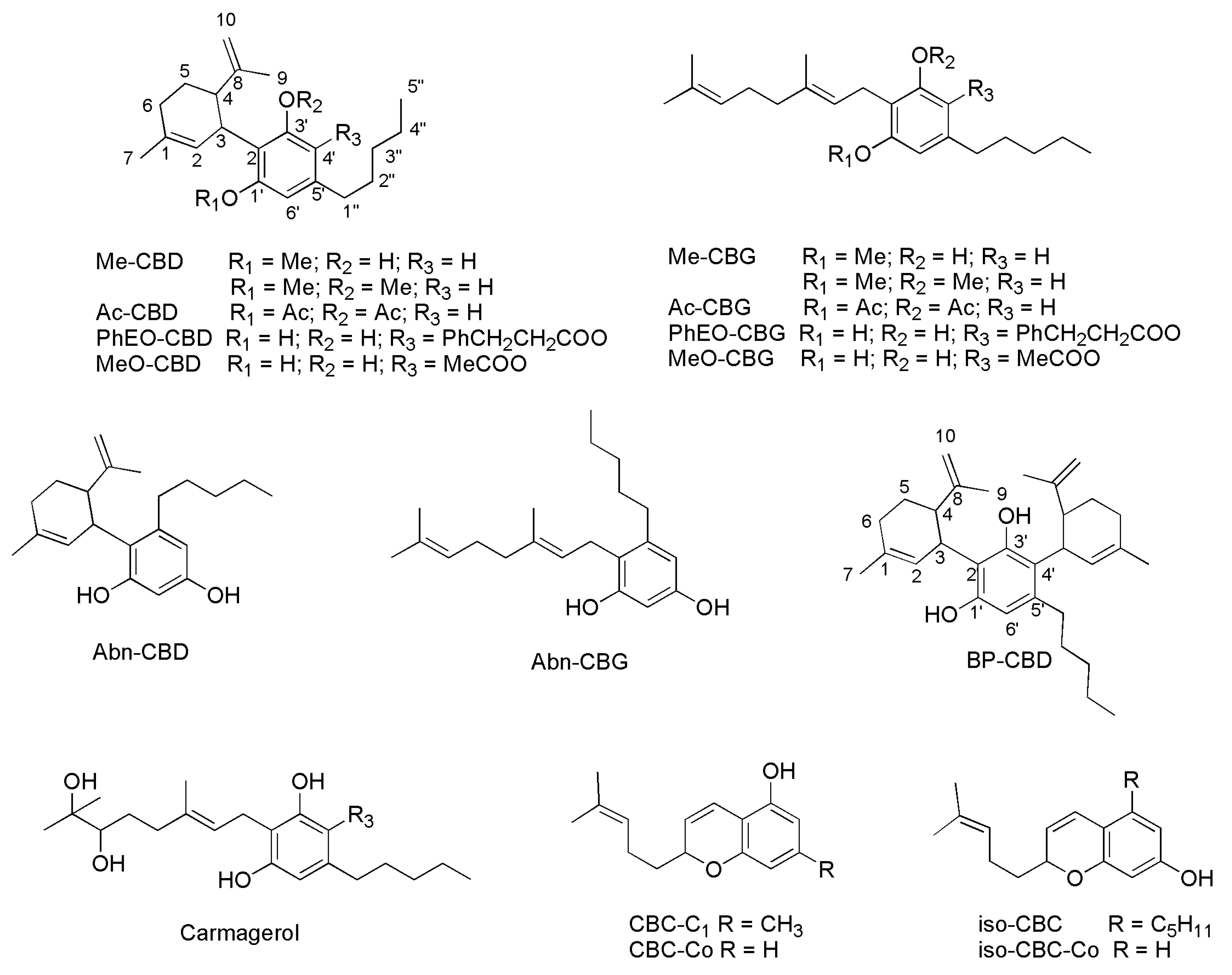 Preprints 73680 g010