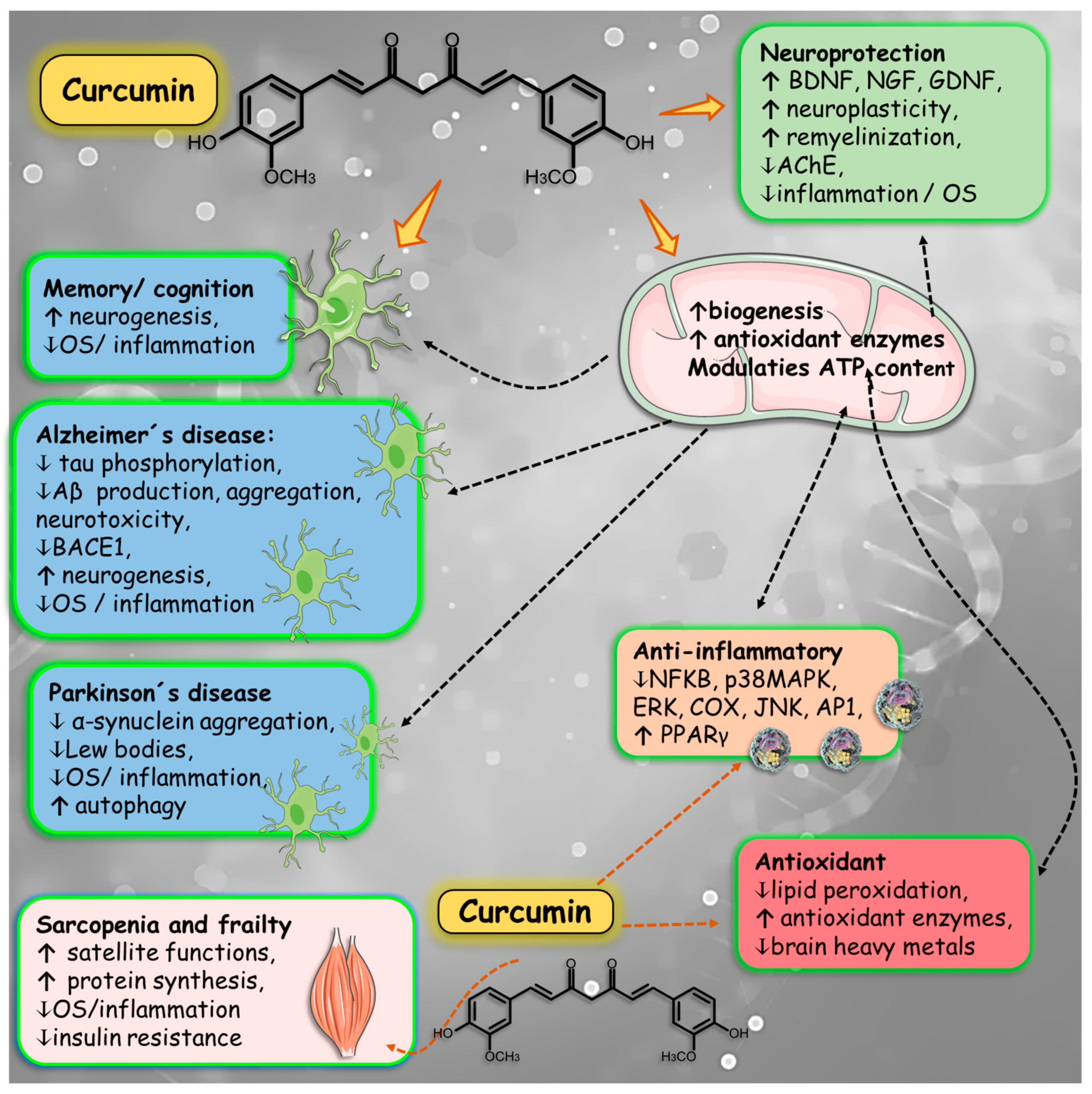 Preprints 112008 g007