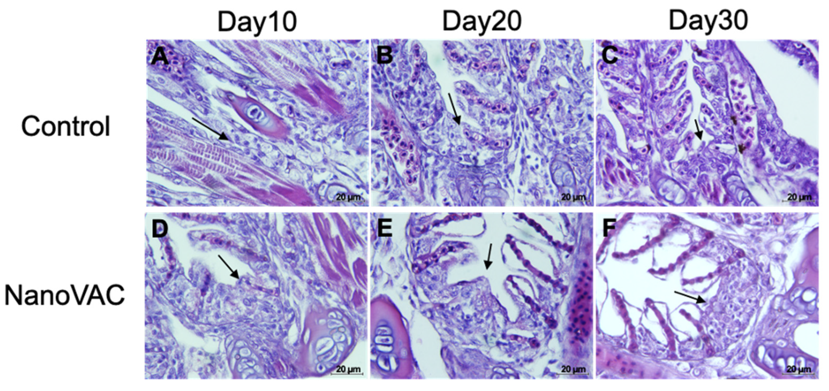 Preprints 89962 g007