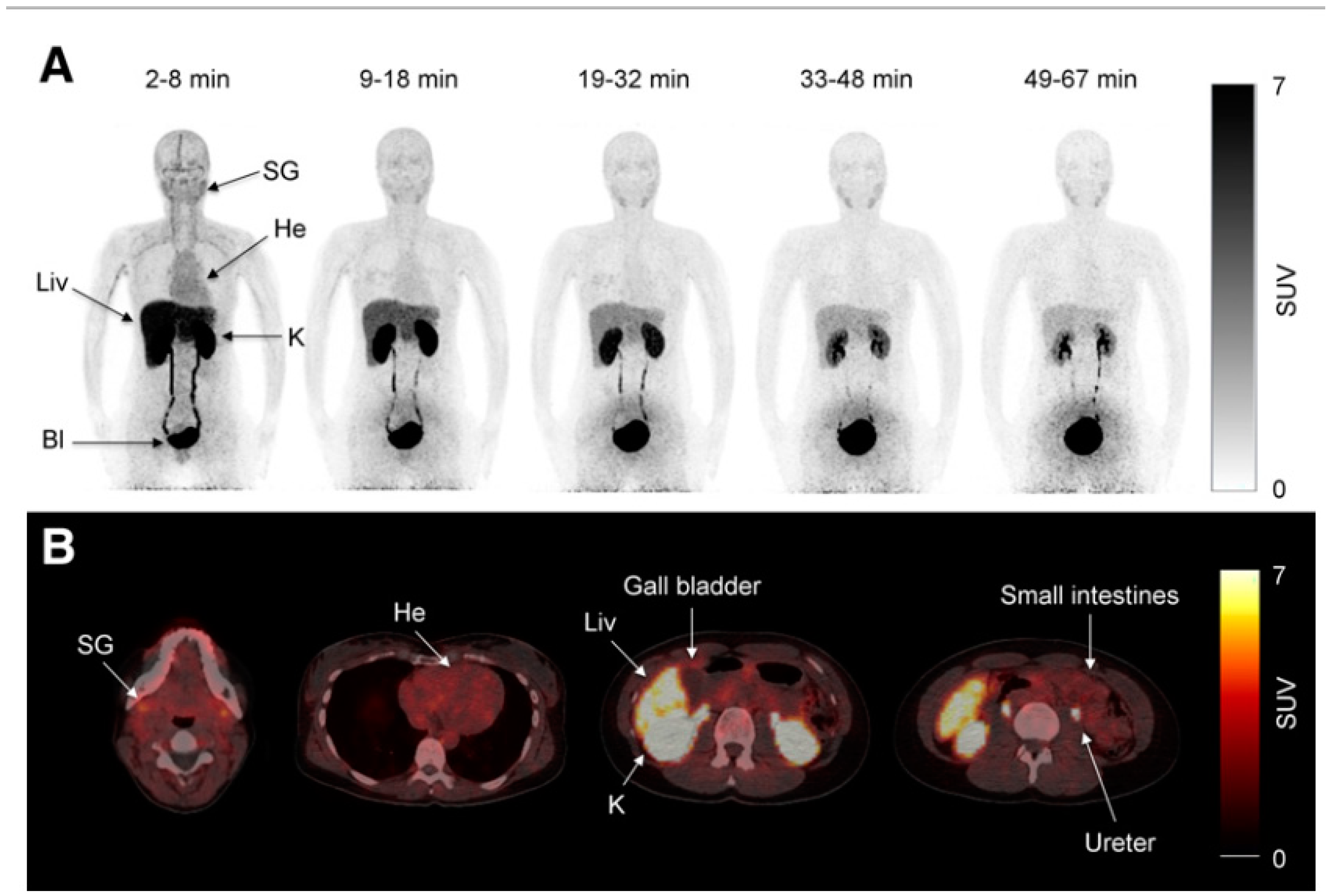 Preprints 79755 g001