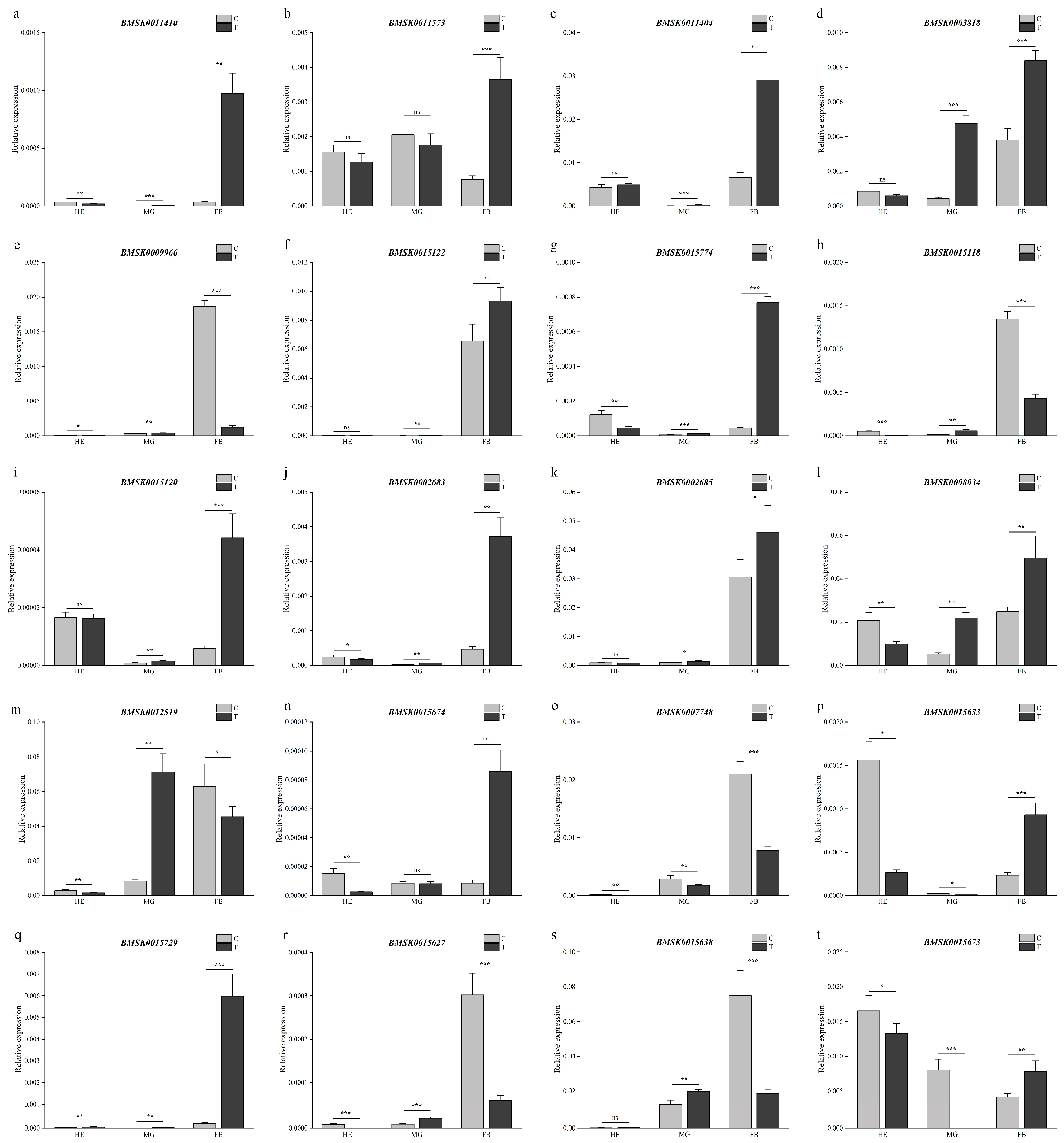 Preprints 89768 g006