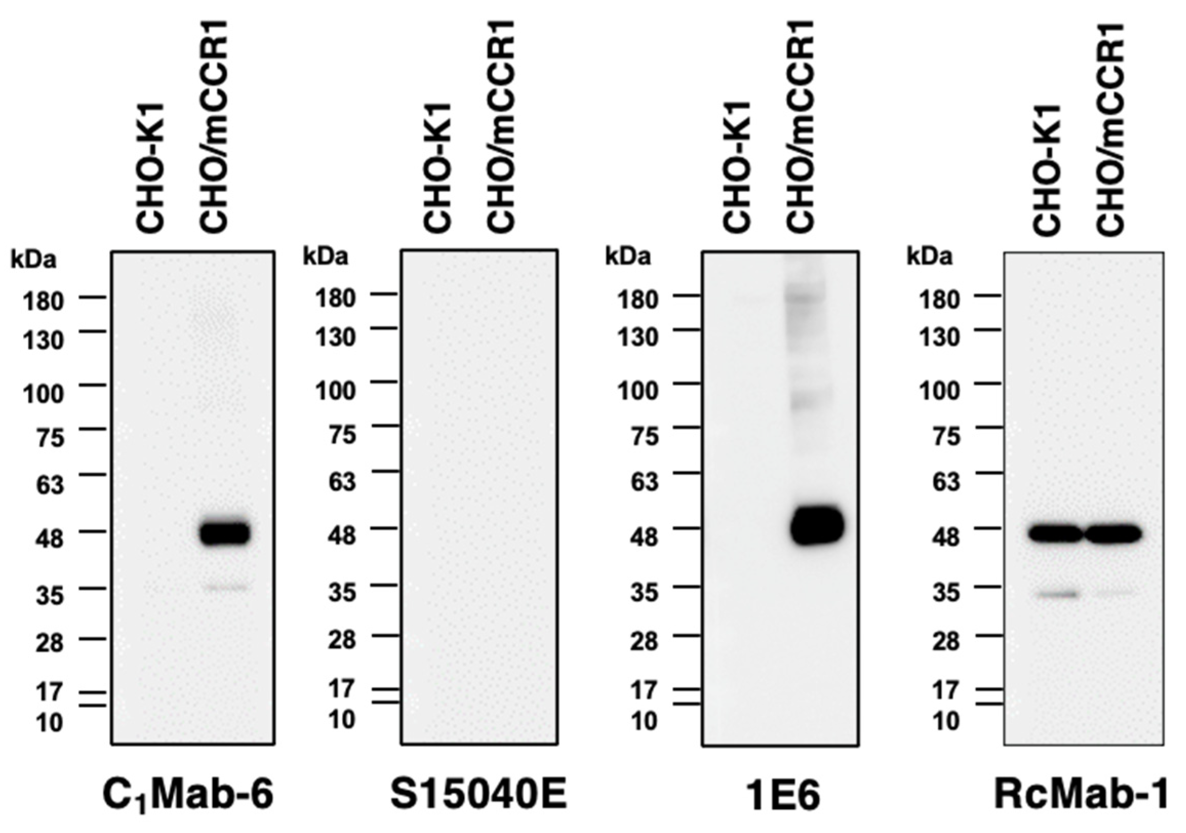 Preprints 94594 g005