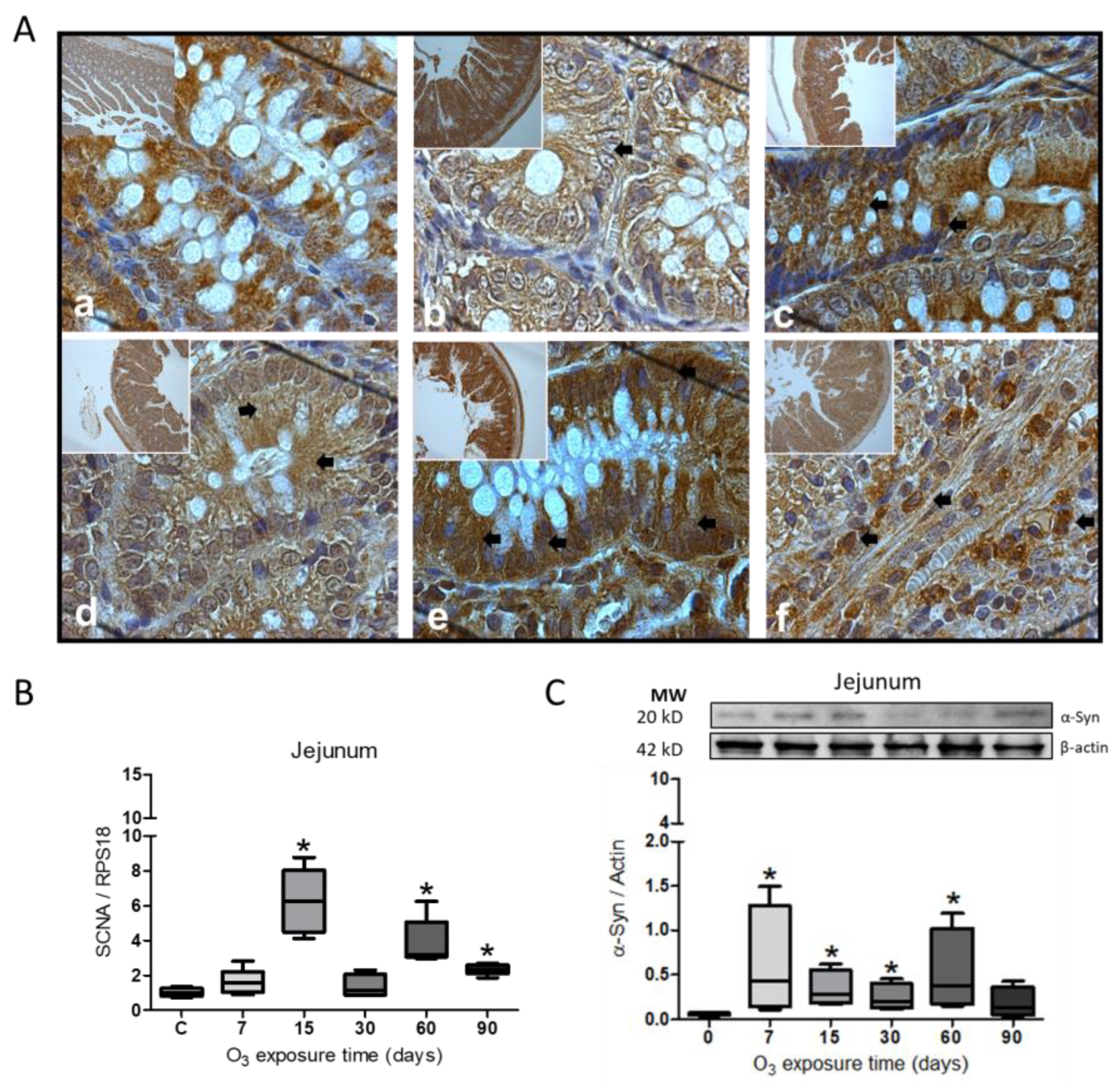 Preprints 102842 g002