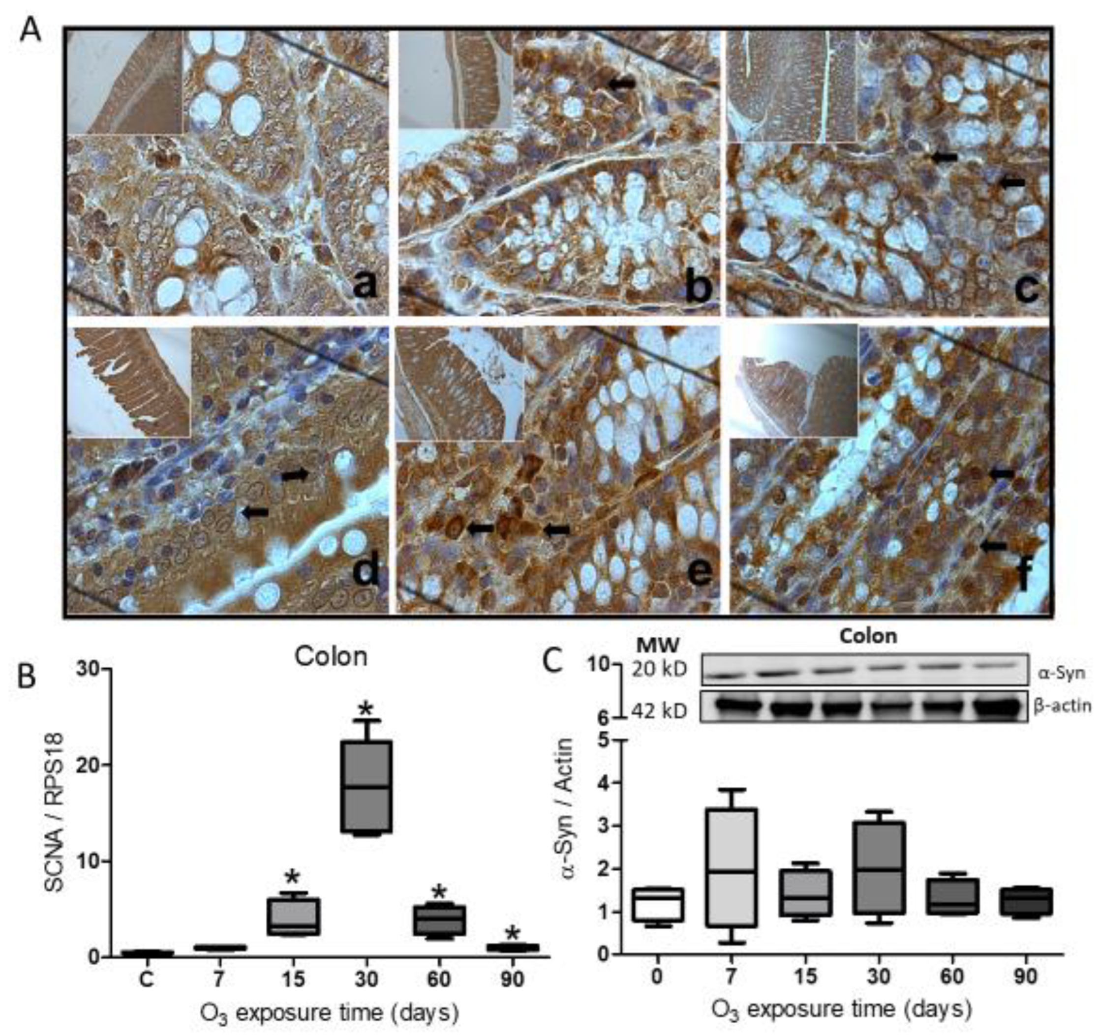 Preprints 102842 g003