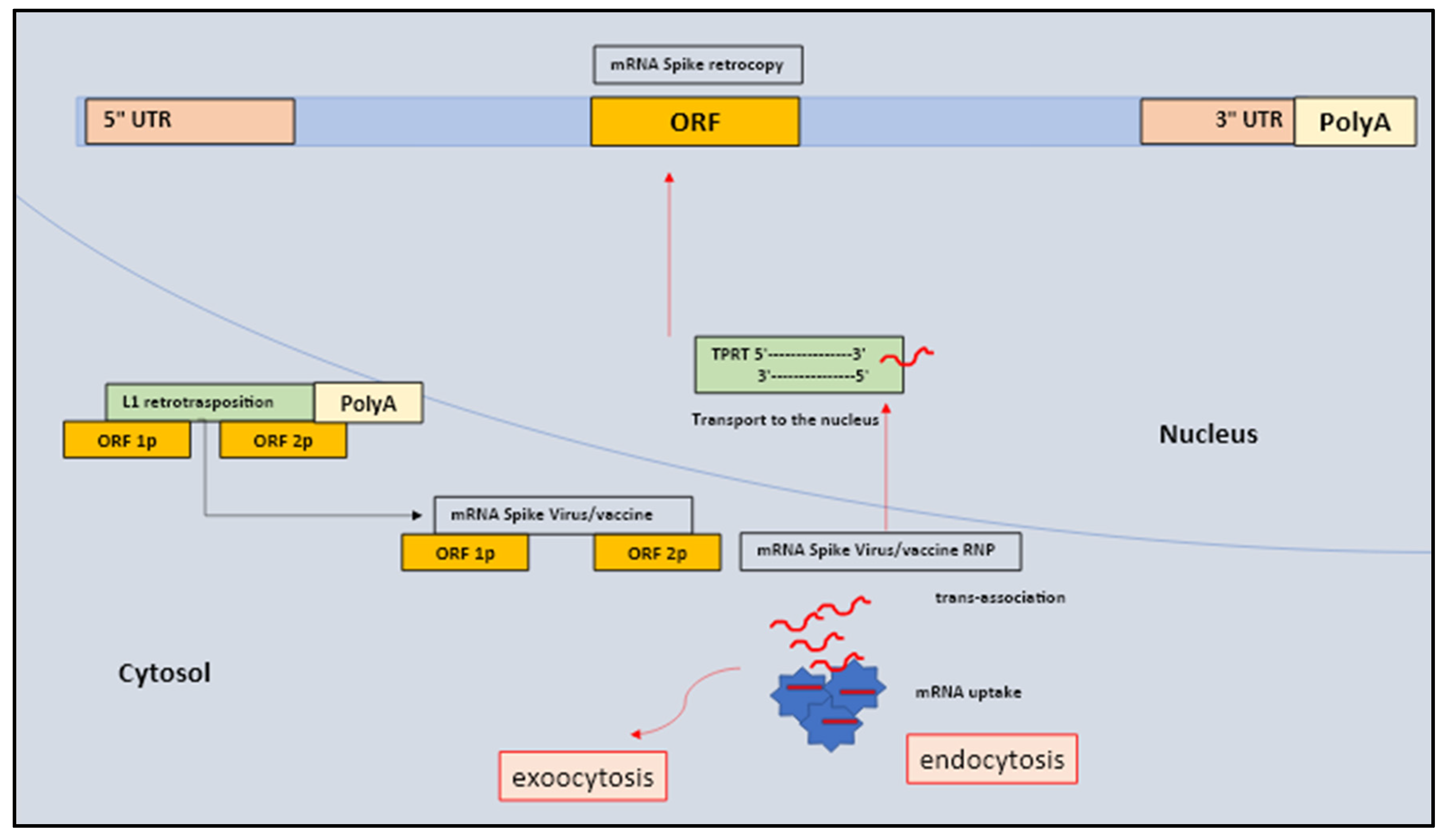 Preprints 82375 g001