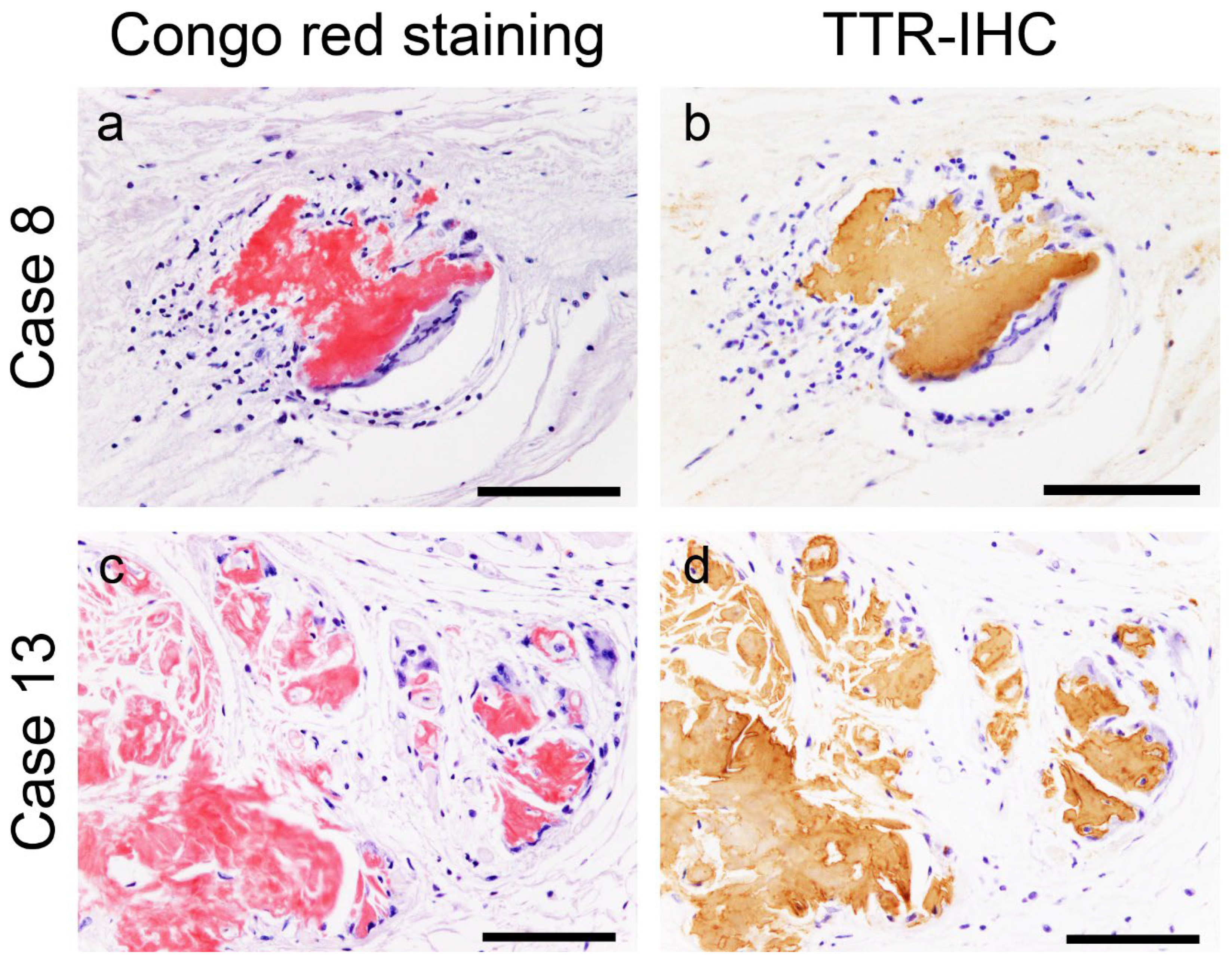 Preprints 111308 g001