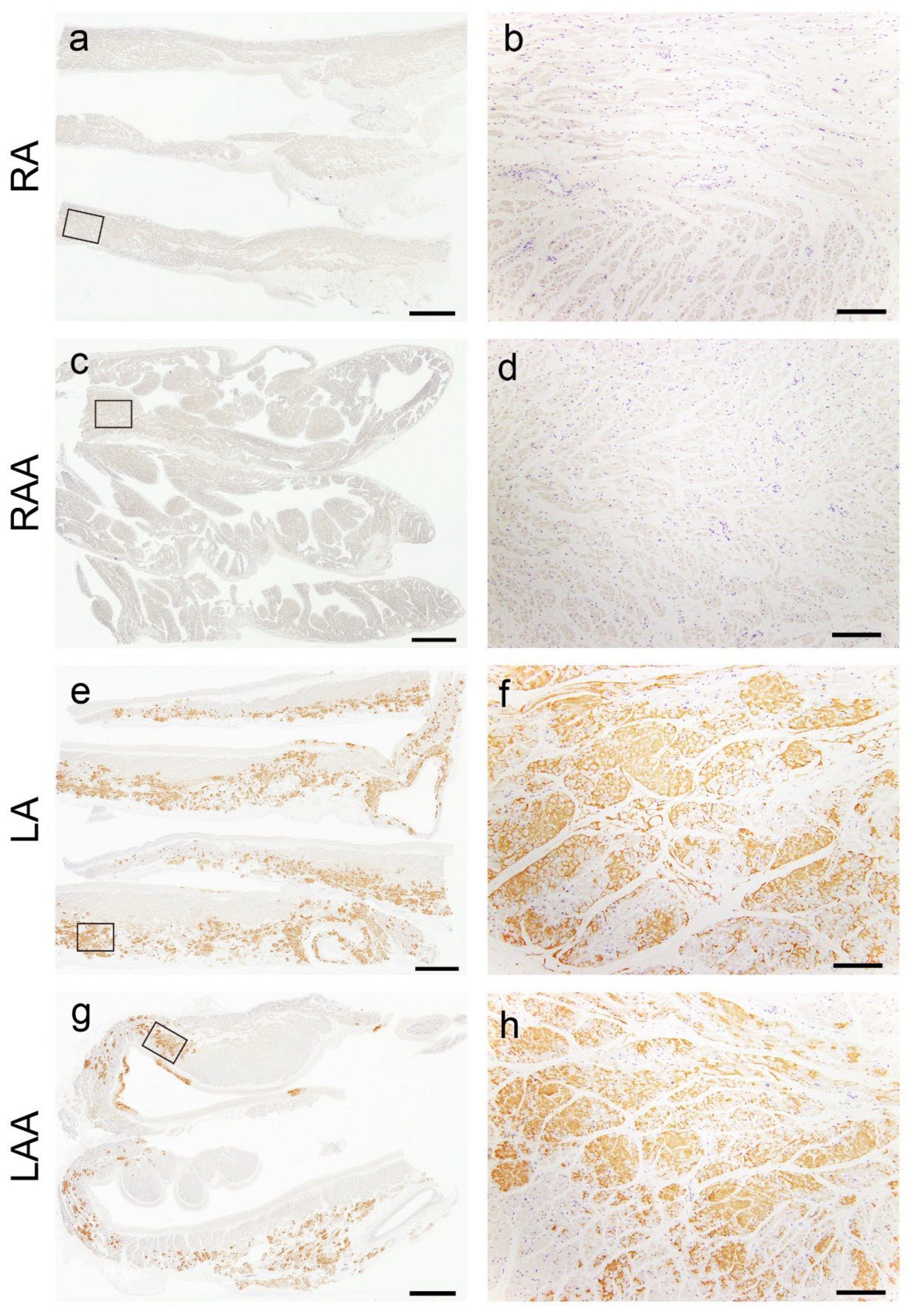 Preprints 111308 g003