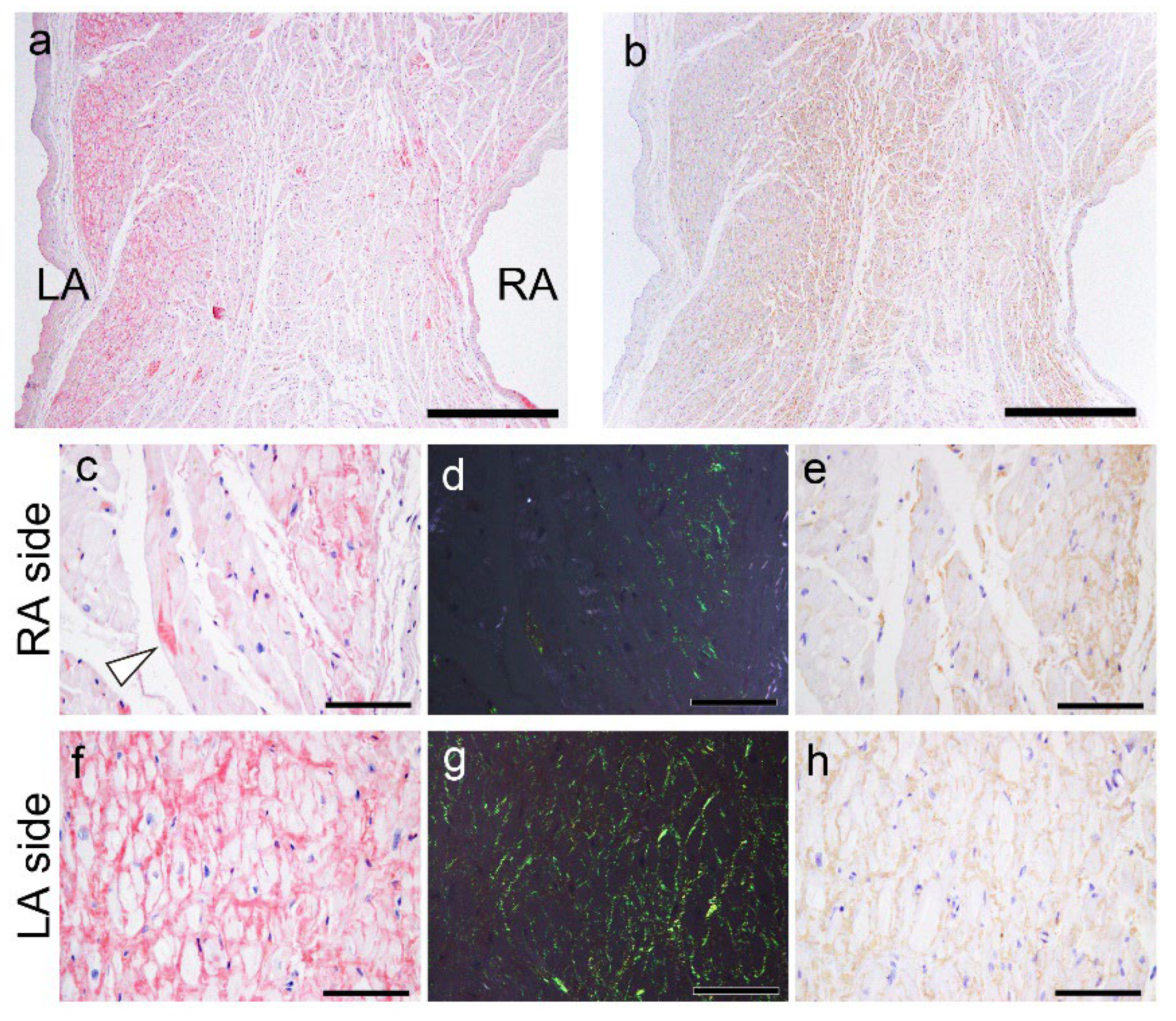 Preprints 111308 g008