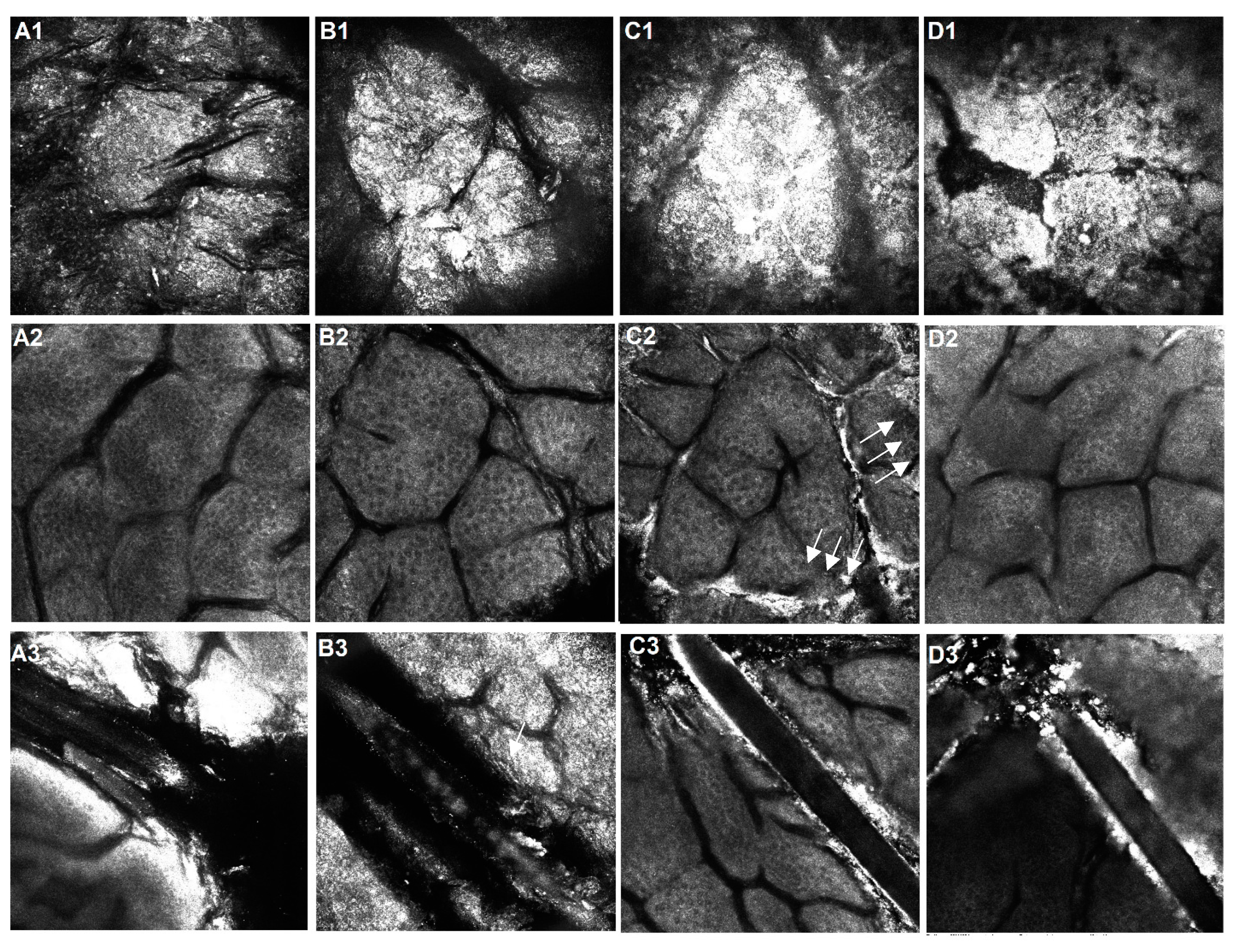 Preprints 86394 g009