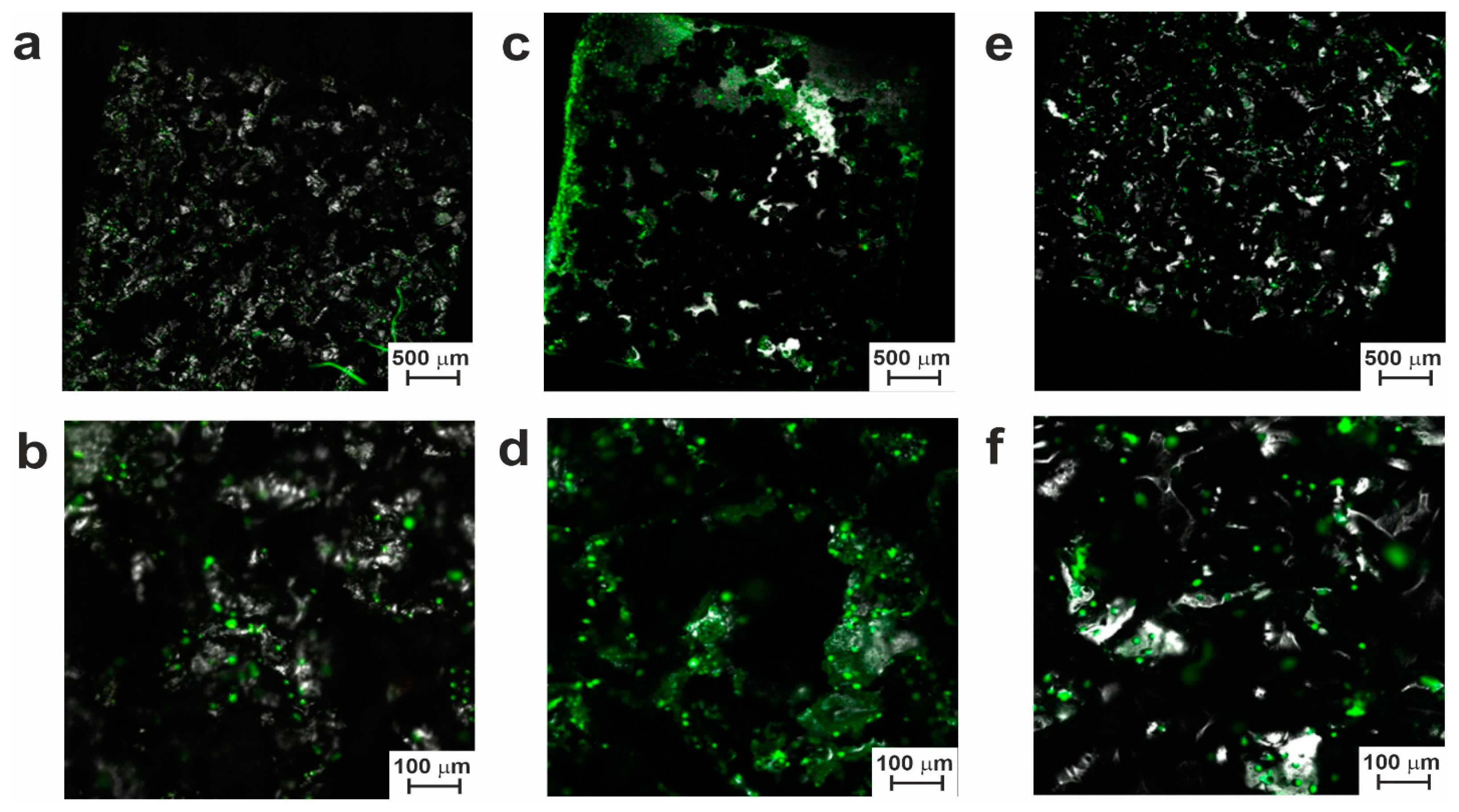 Preprints 71671 g011