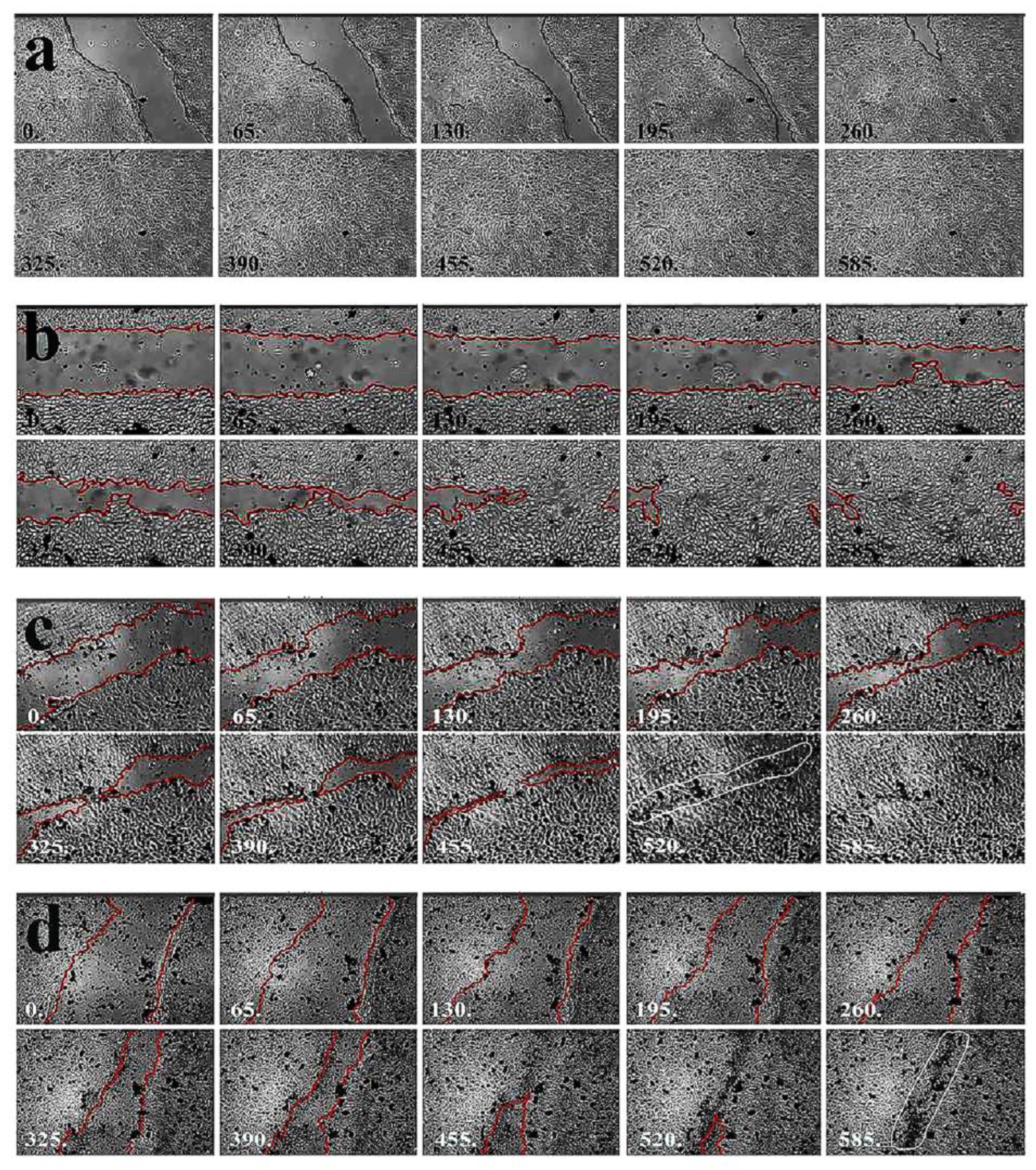 Preprints 71769 g004