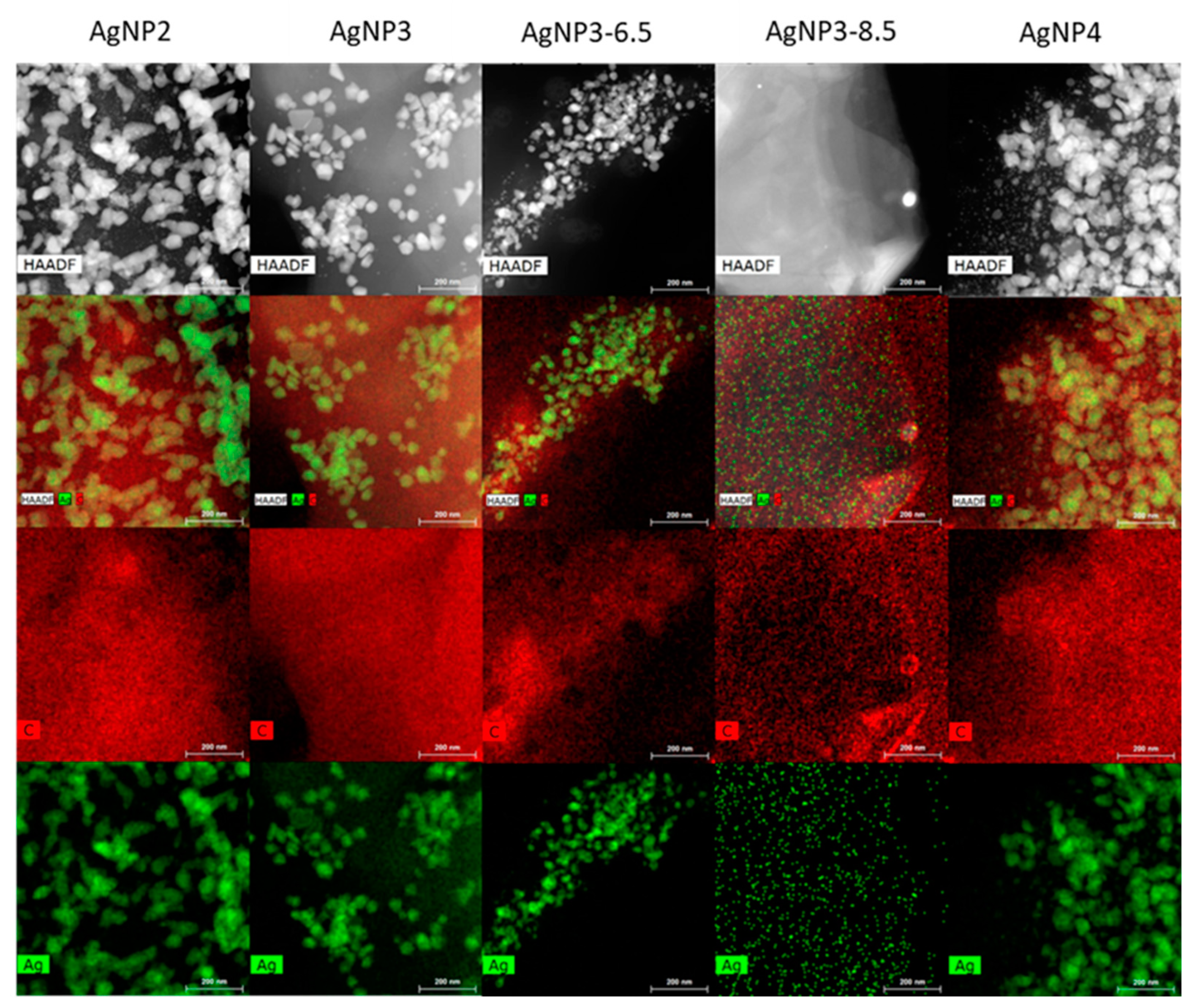 Preprints 109556 g010