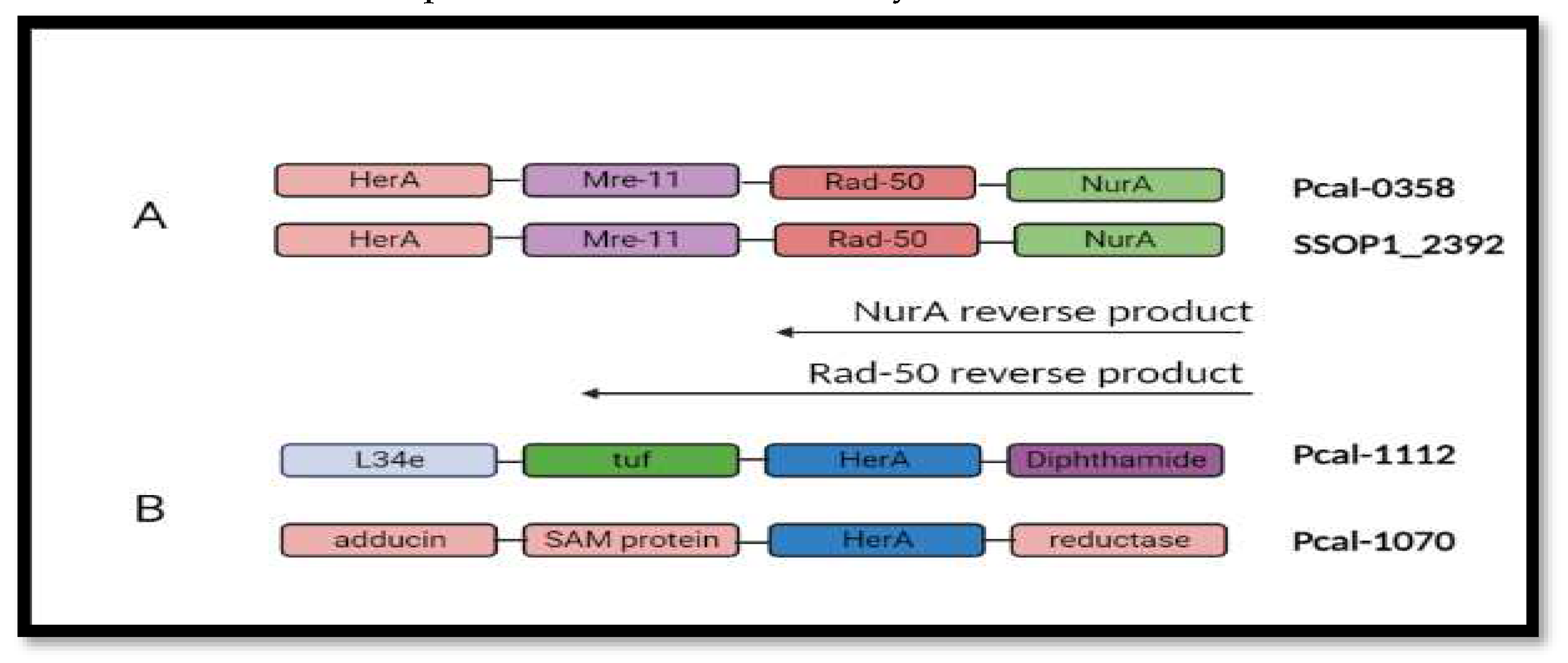 Preprints 97857 g006