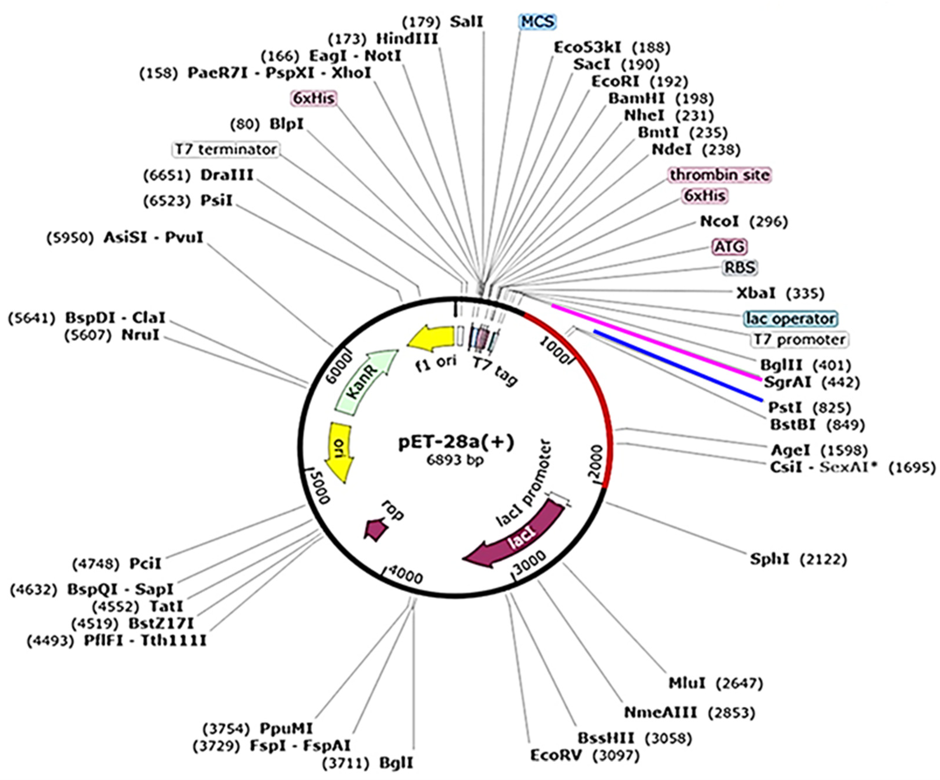 Preprints 110656 g008