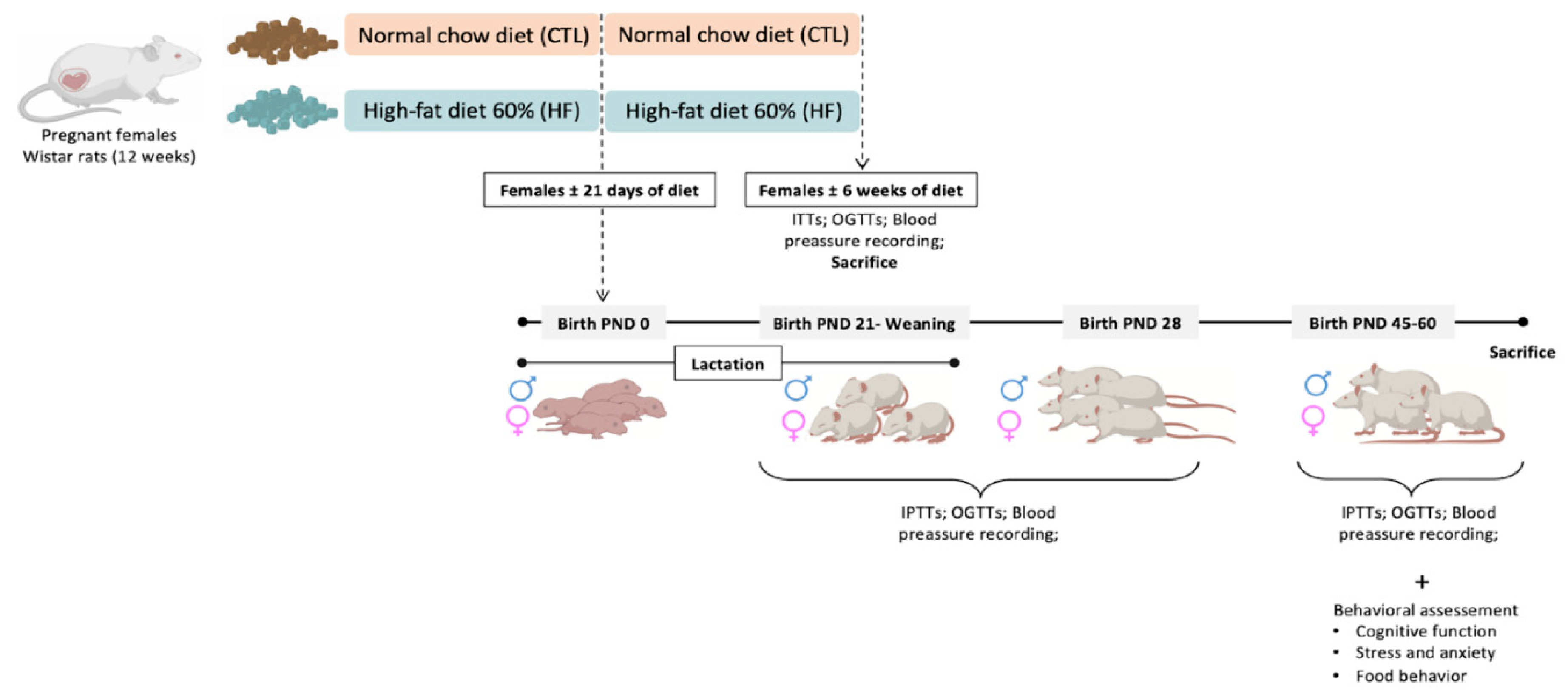 Preprints 91796 g001