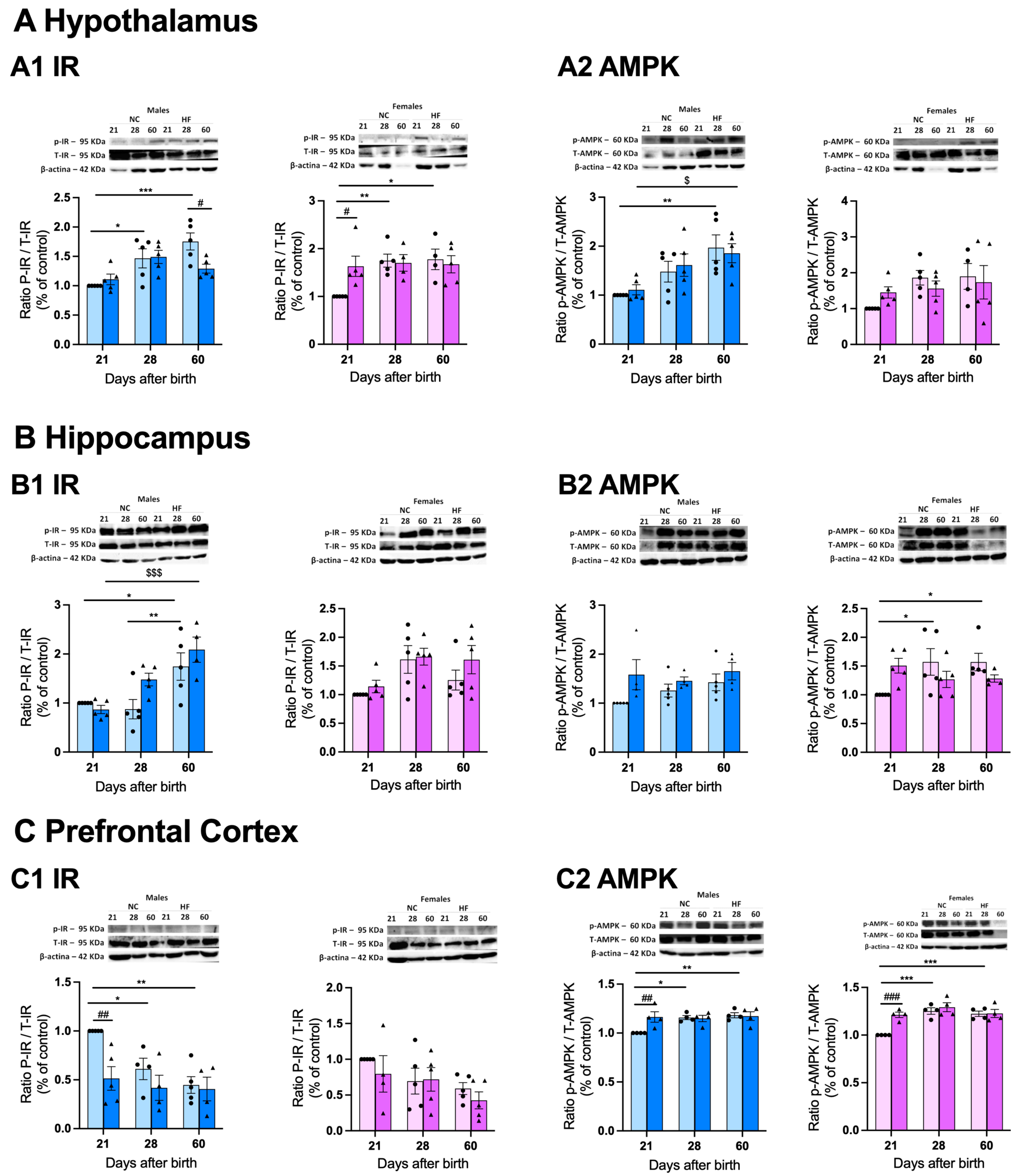 Preprints 91796 g007