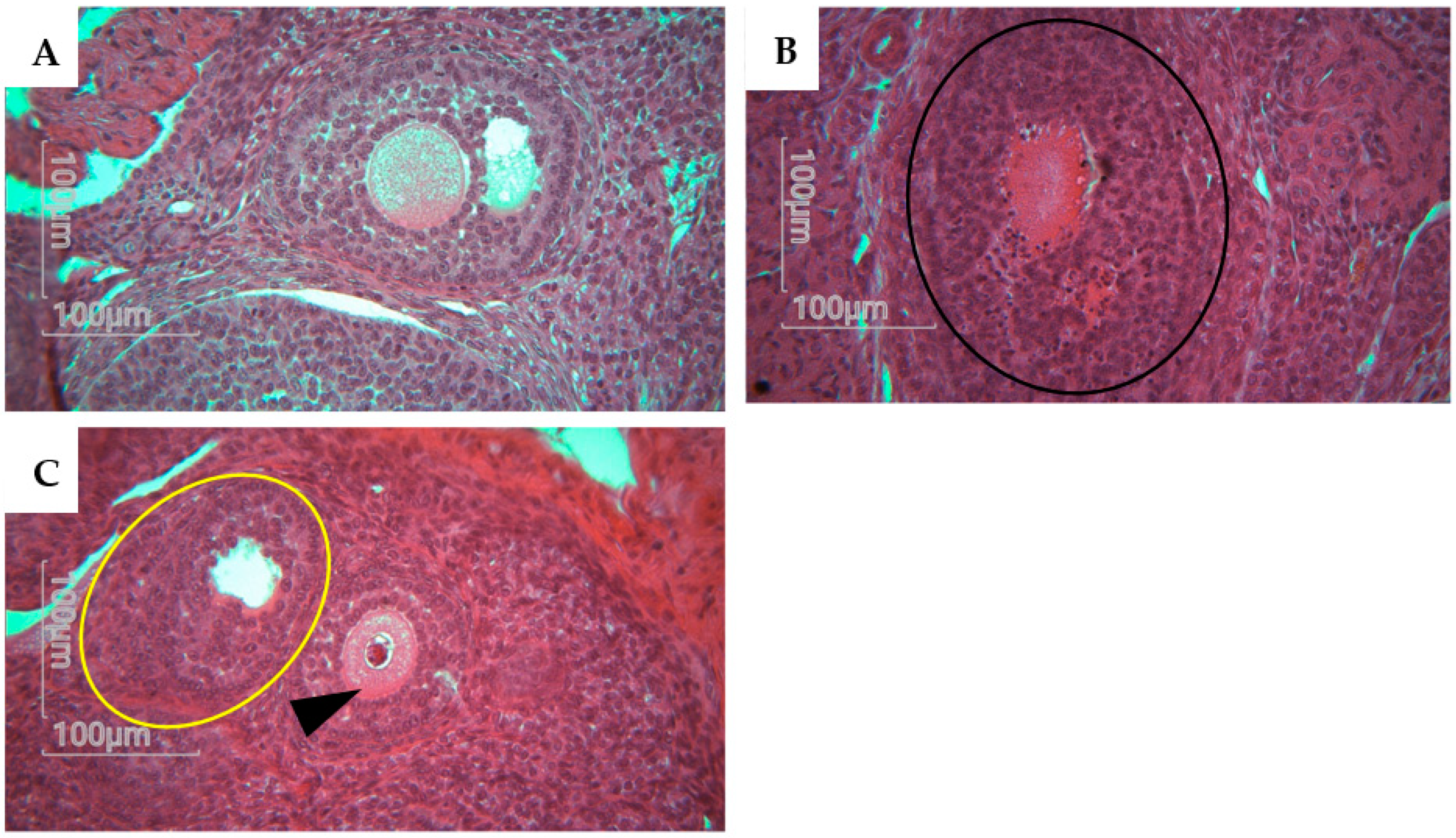 Preprints 83219 g006