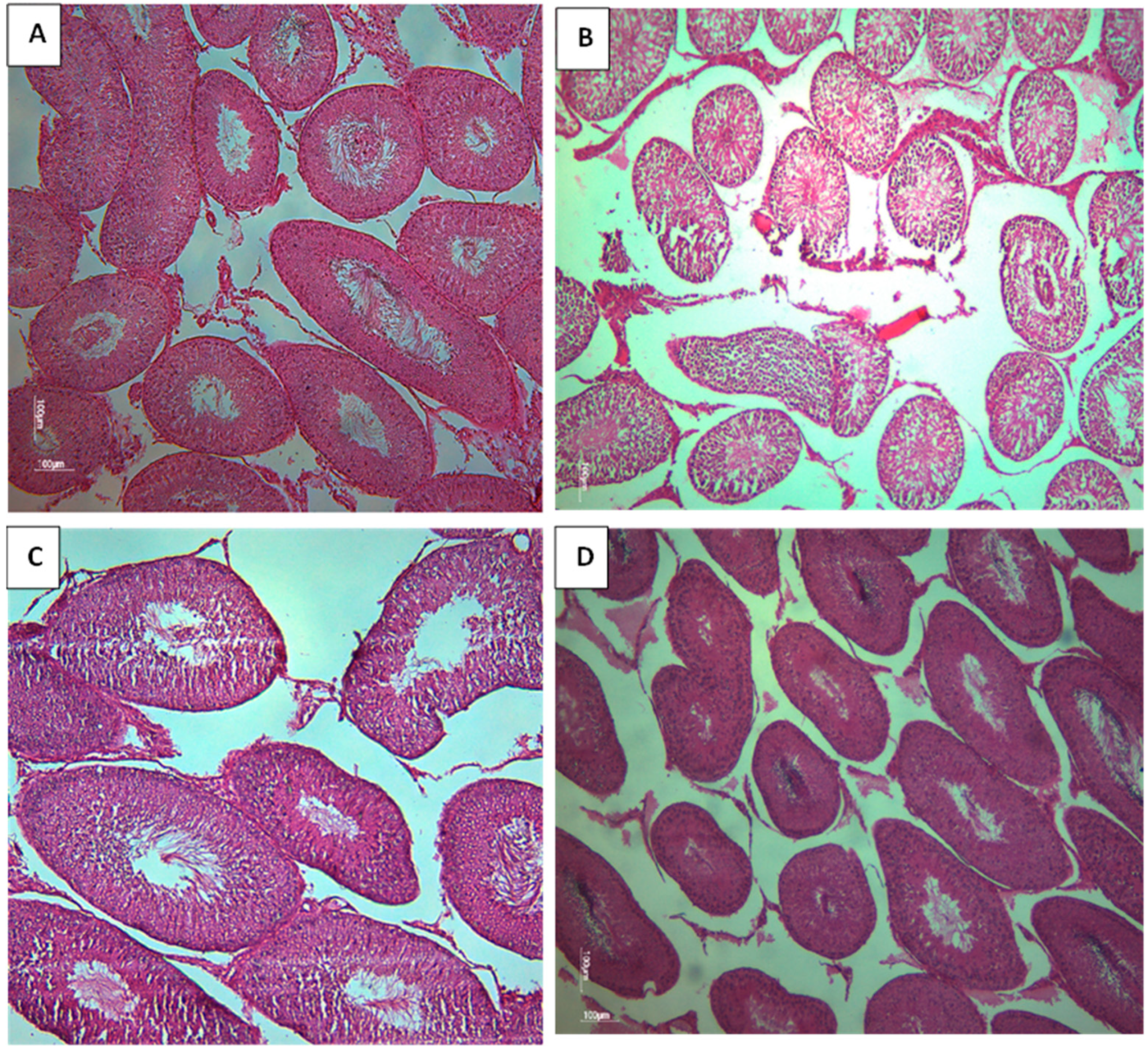 Preprints 83219 g007