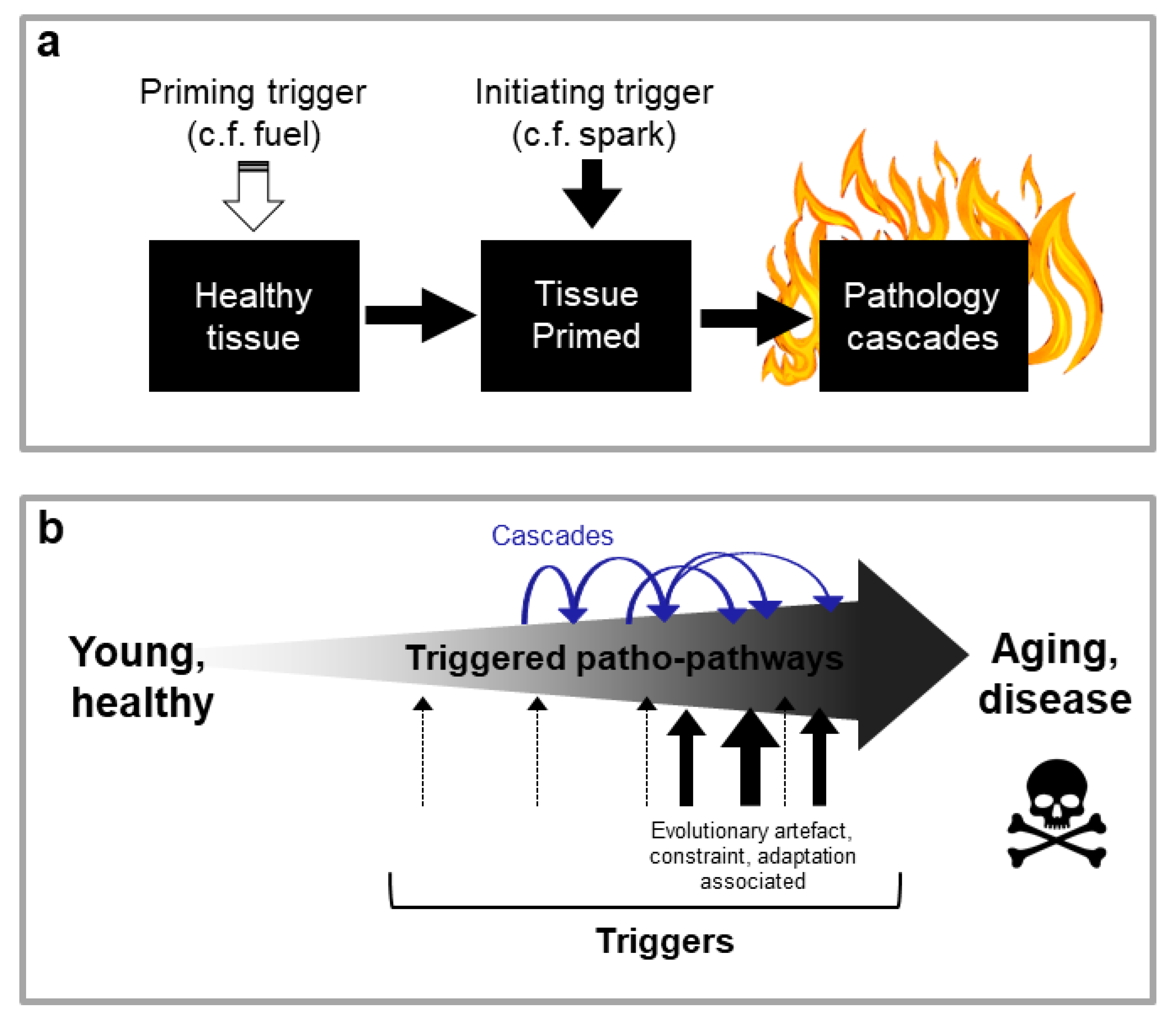 Preprints 106429 g002