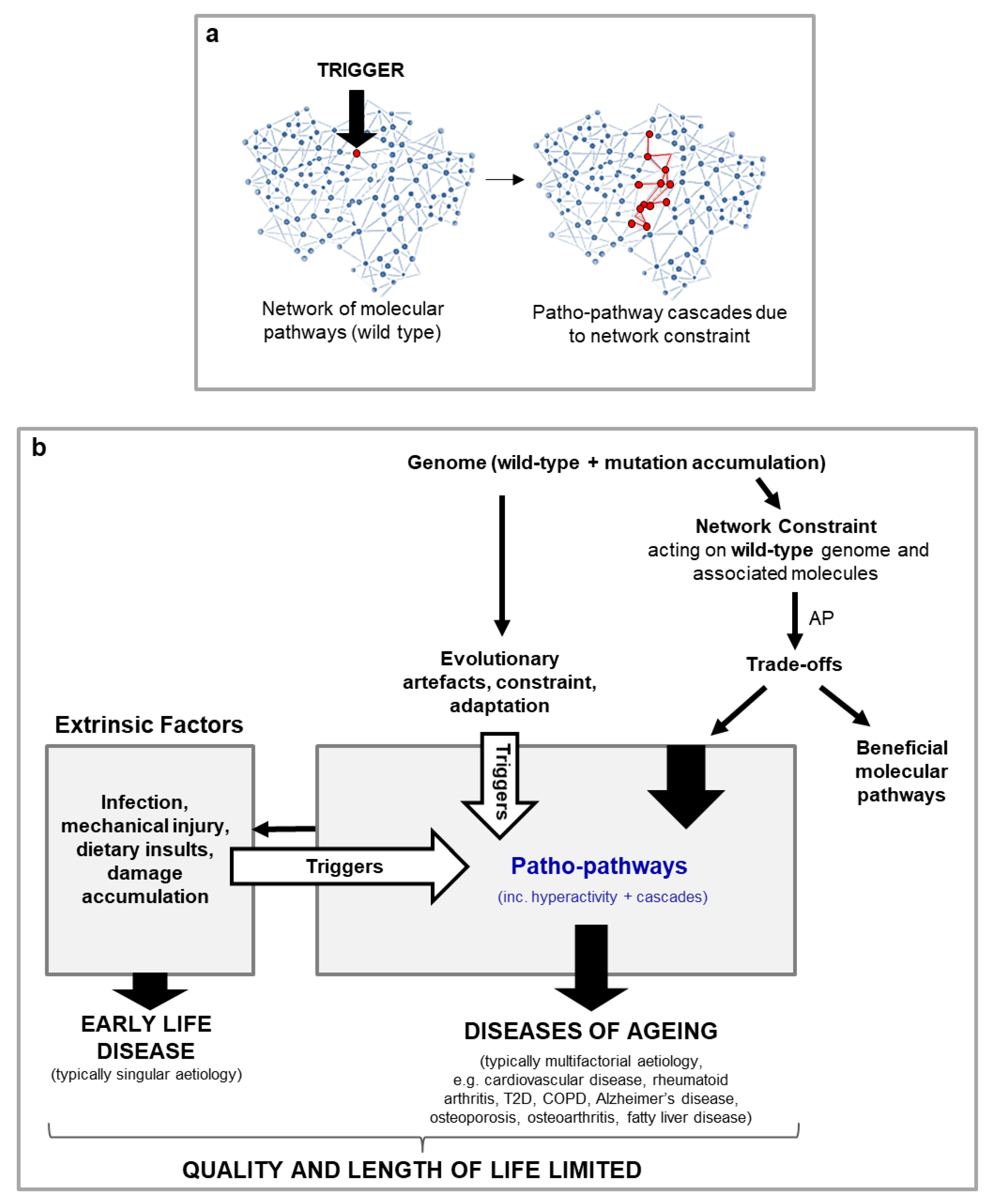 Preprints 106429 g004