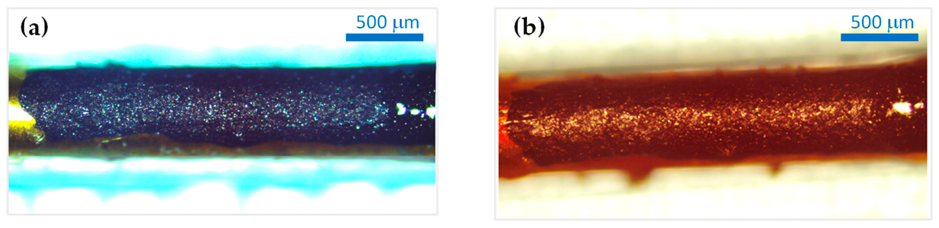 Preprints 80653 g010