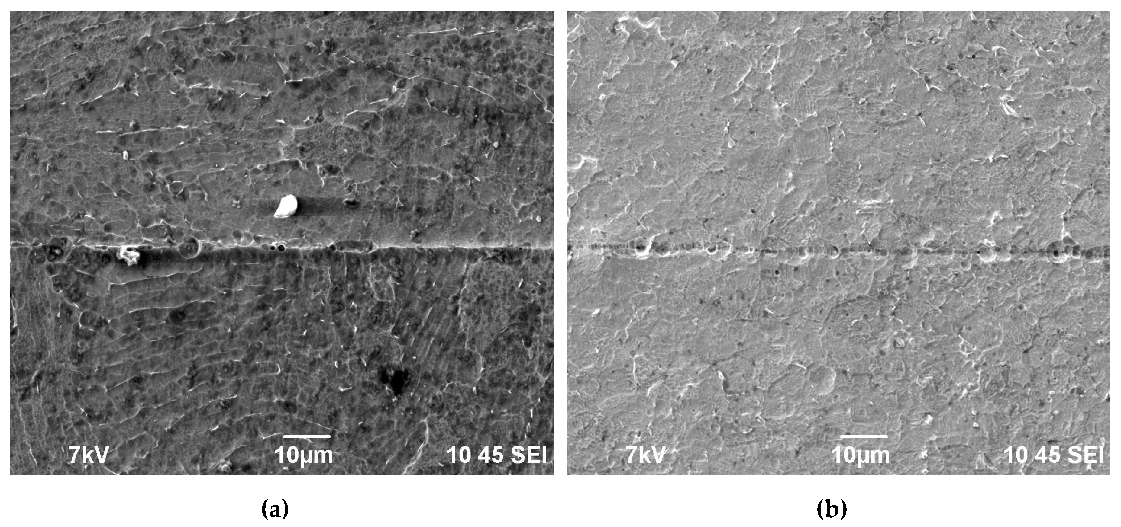 Preprints 67898 g017