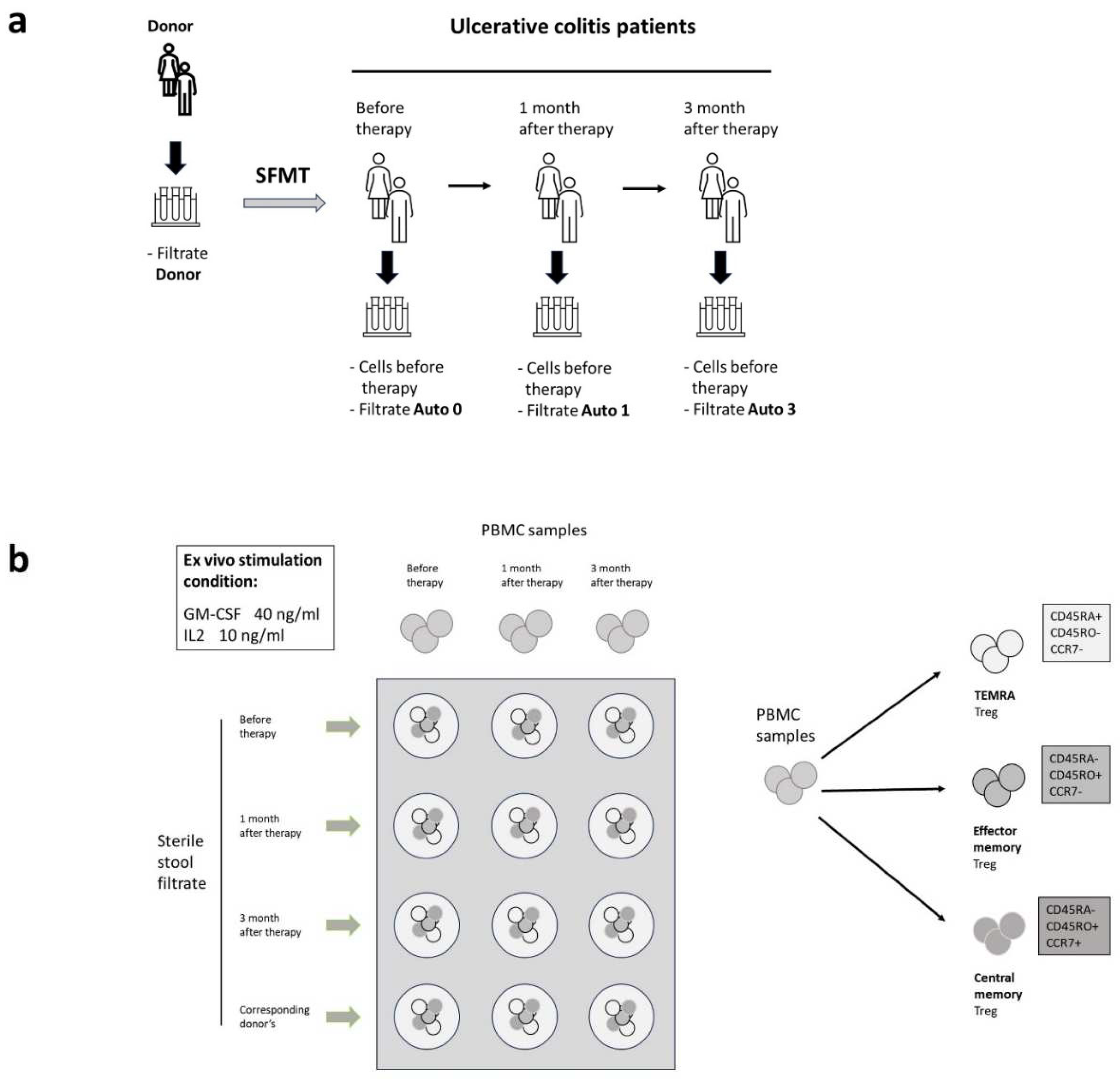 Preprints 92581 g001