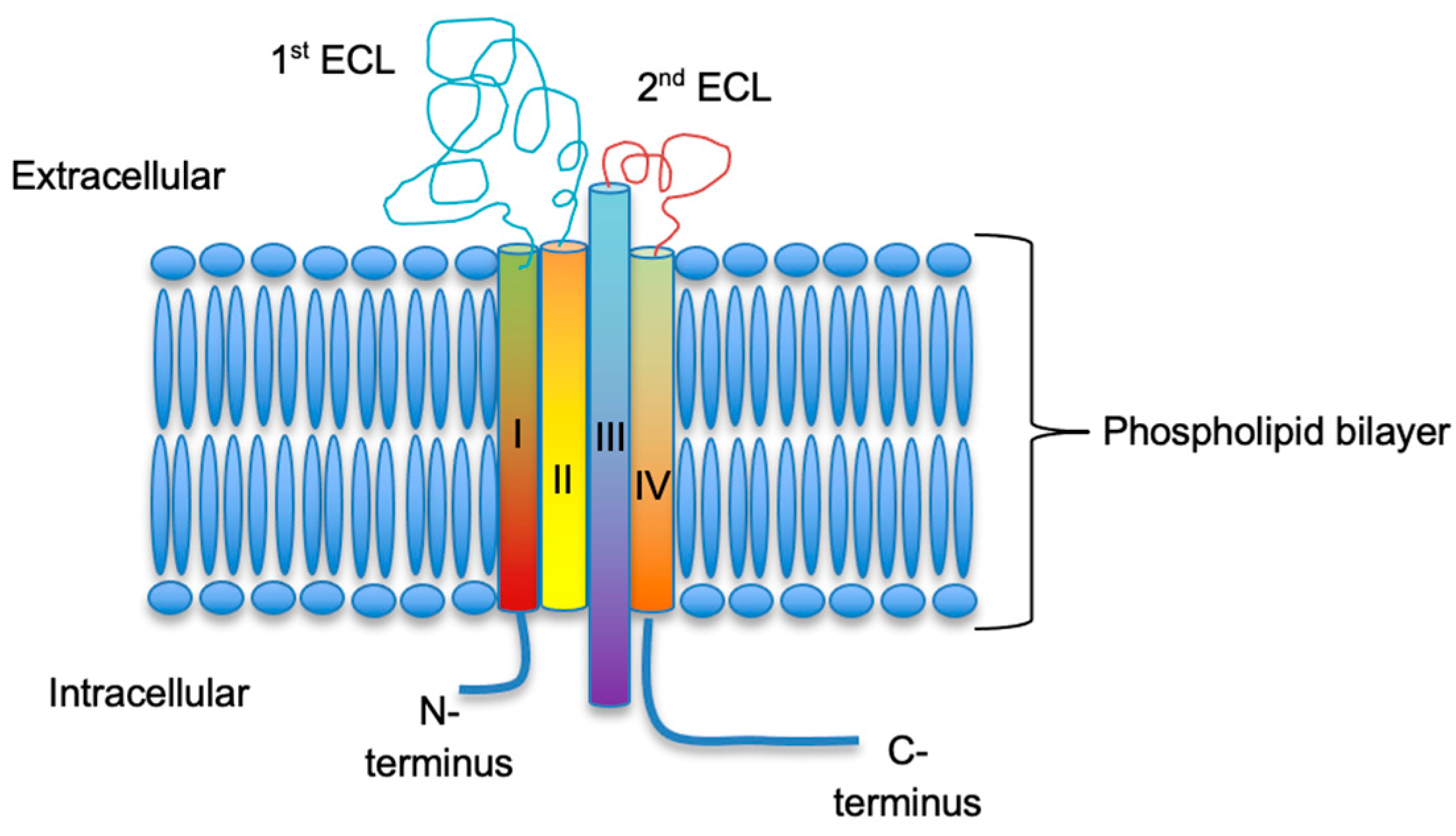 Preprints 96915 g001