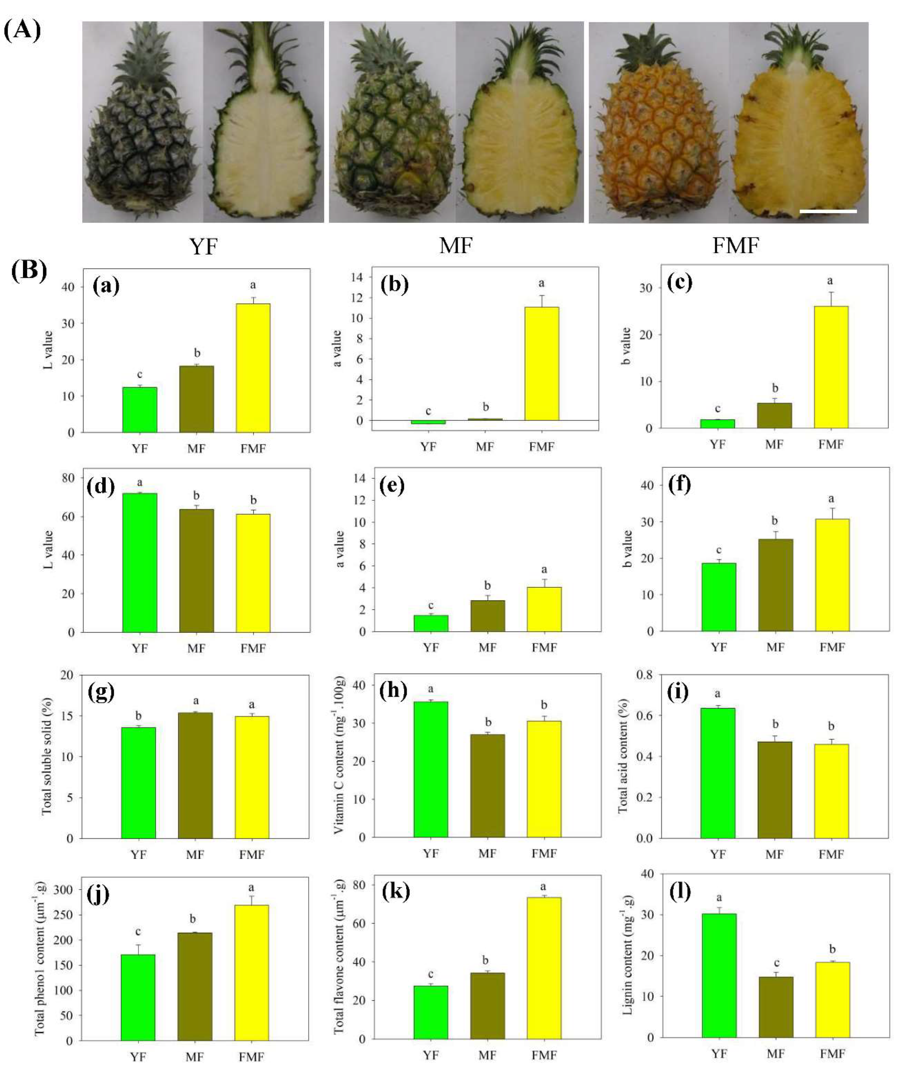 Preprints 86308 g001