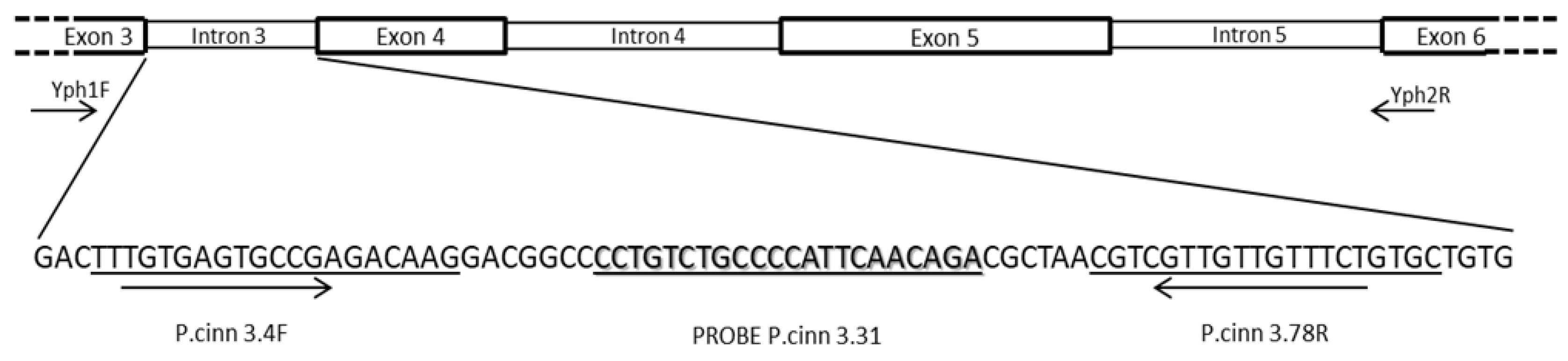 Preprints 107889 g002