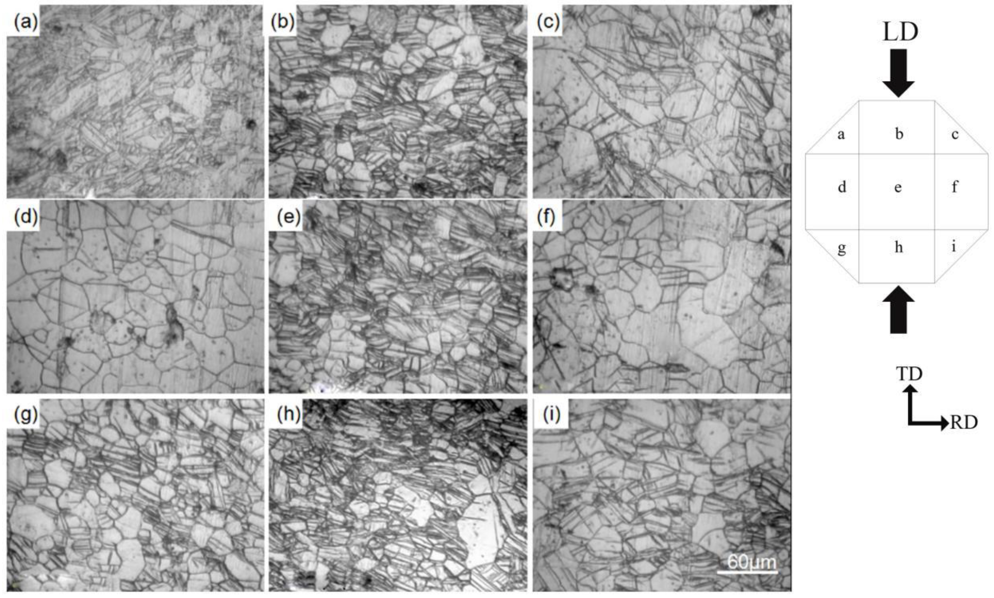 Preprints 99035 g004